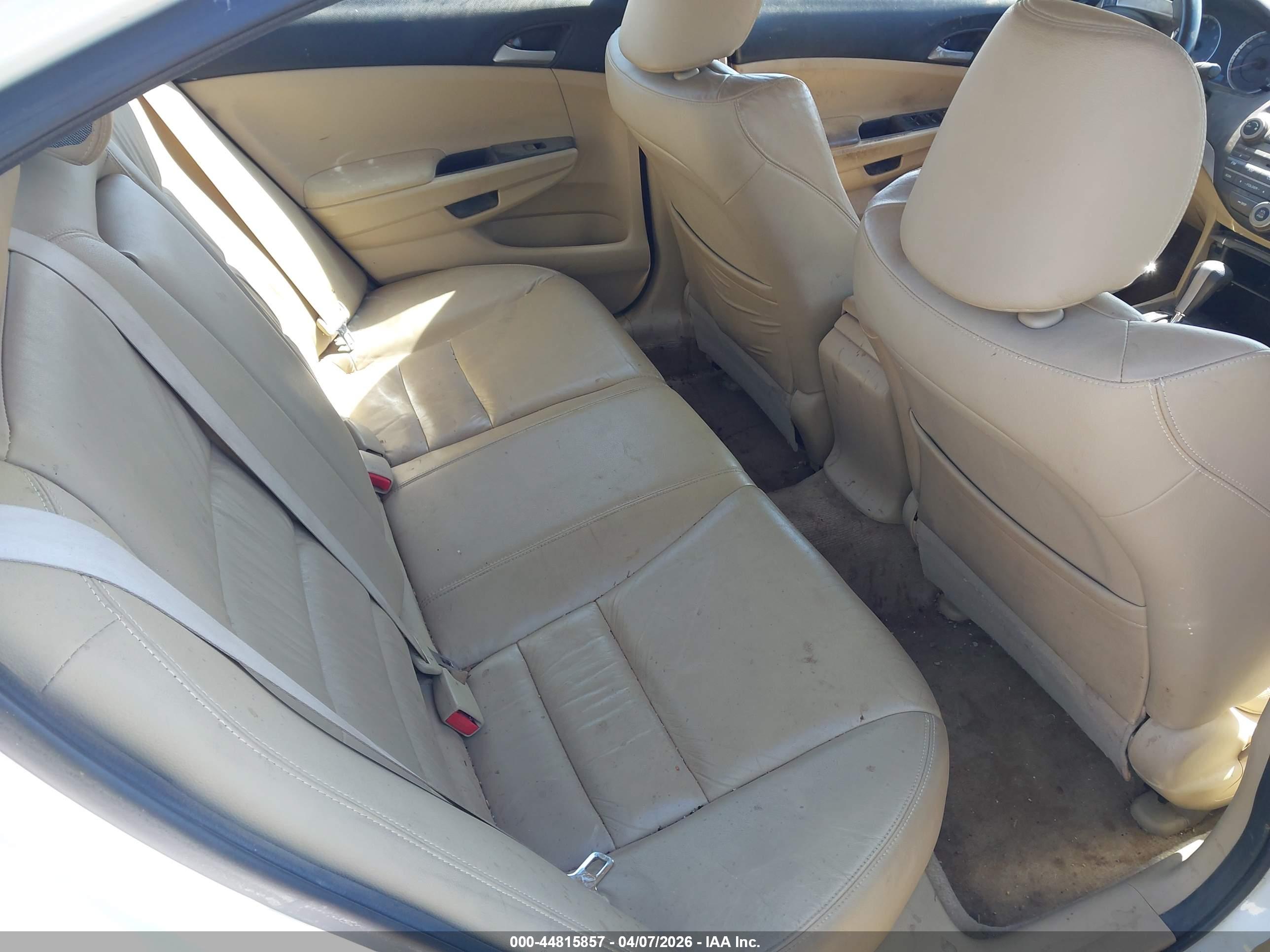 HONDA ACCORD image 8