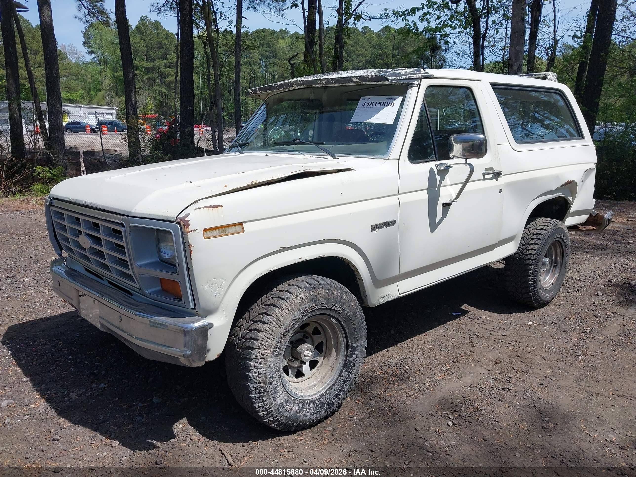 FORD BRONCO image 2