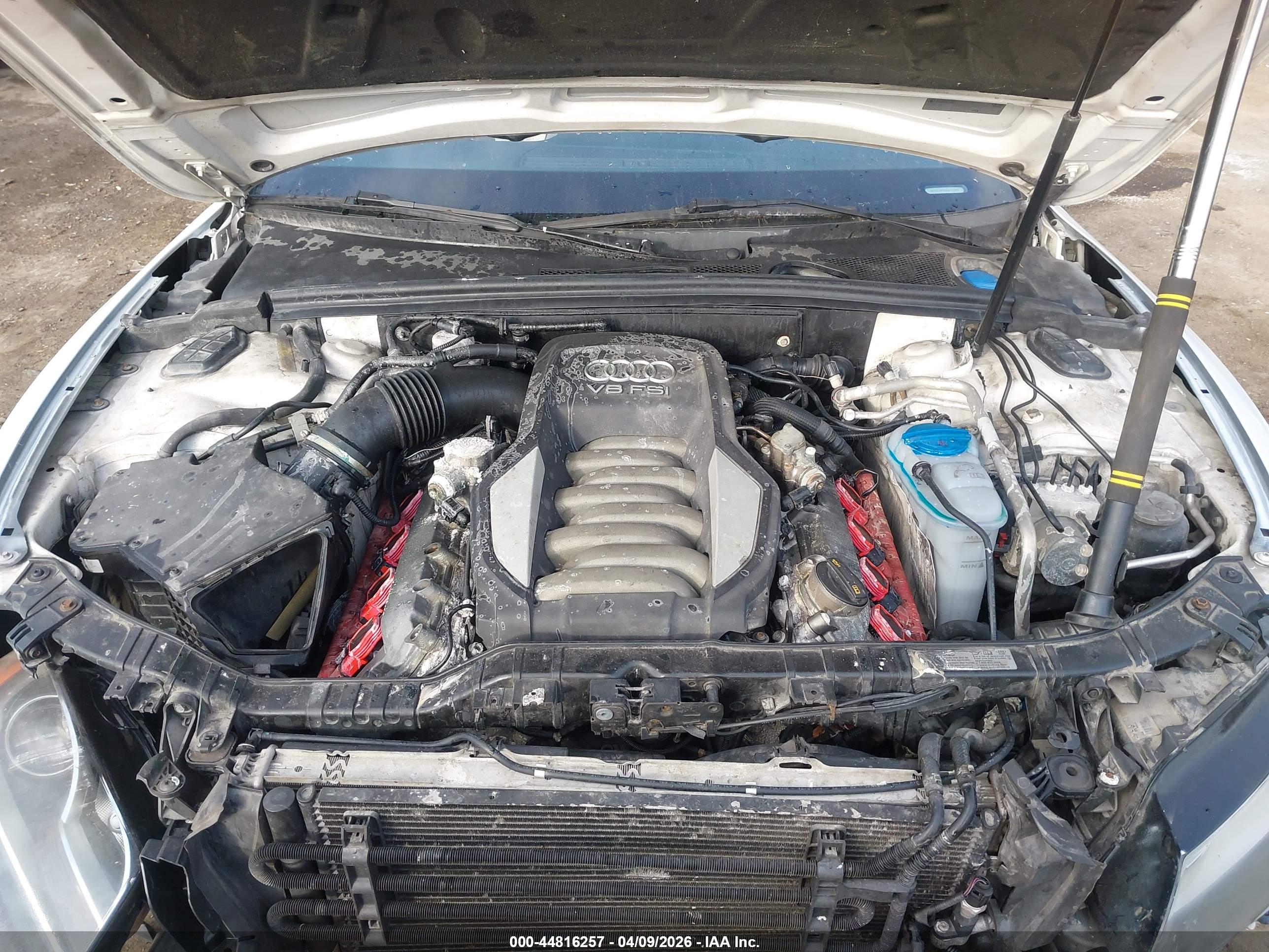 AUDI S5 image 10