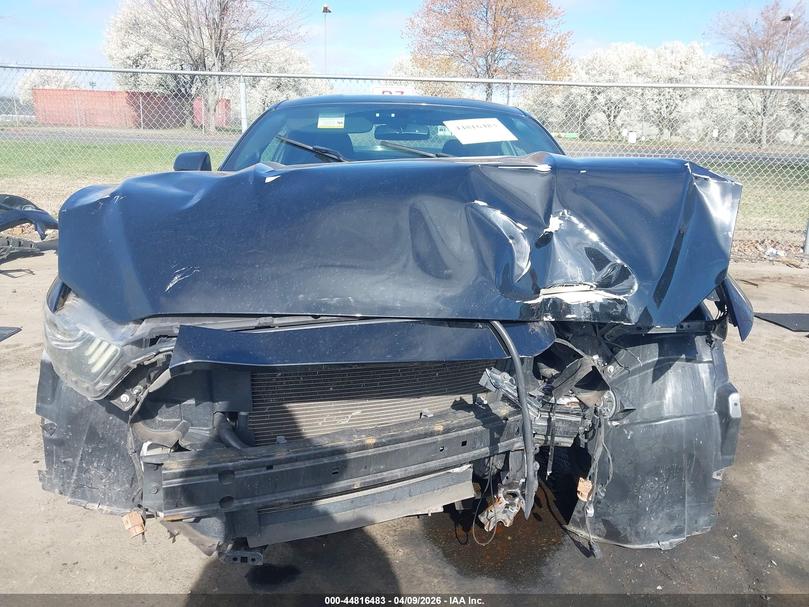 FORD MUSTANG image 6