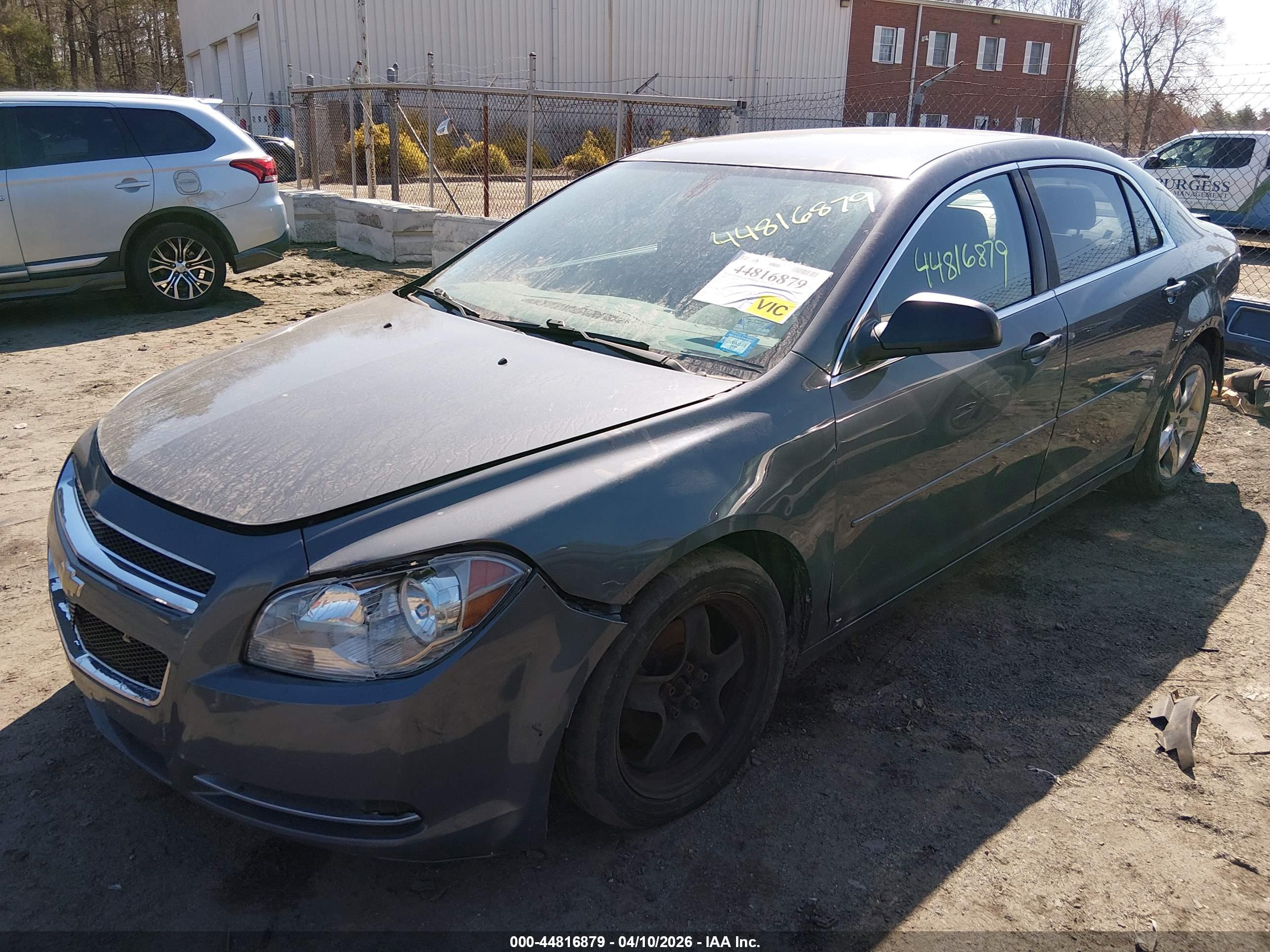 CHEVROLET MALIBU image 2