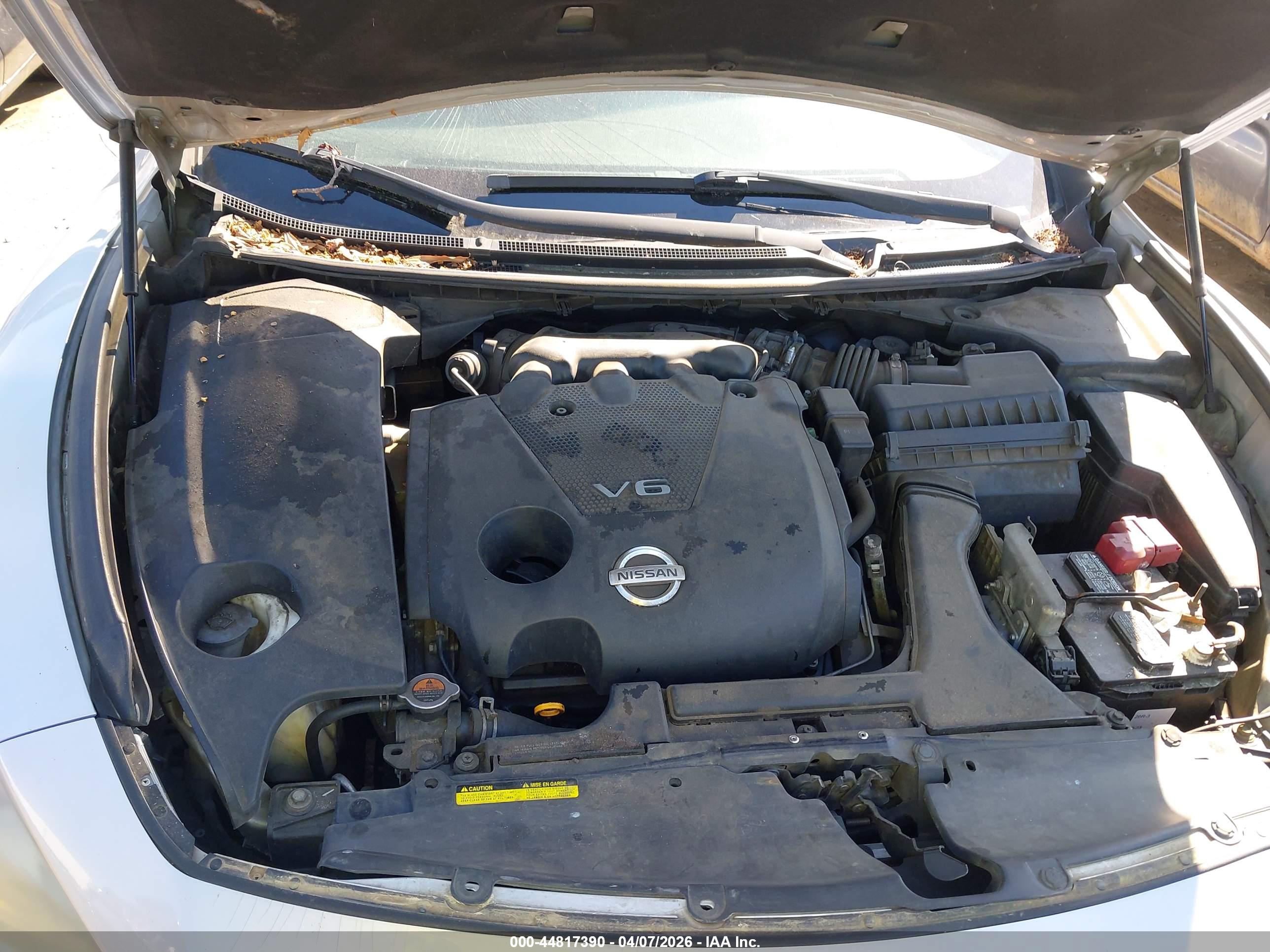 NISSAN MAXIMA image 10