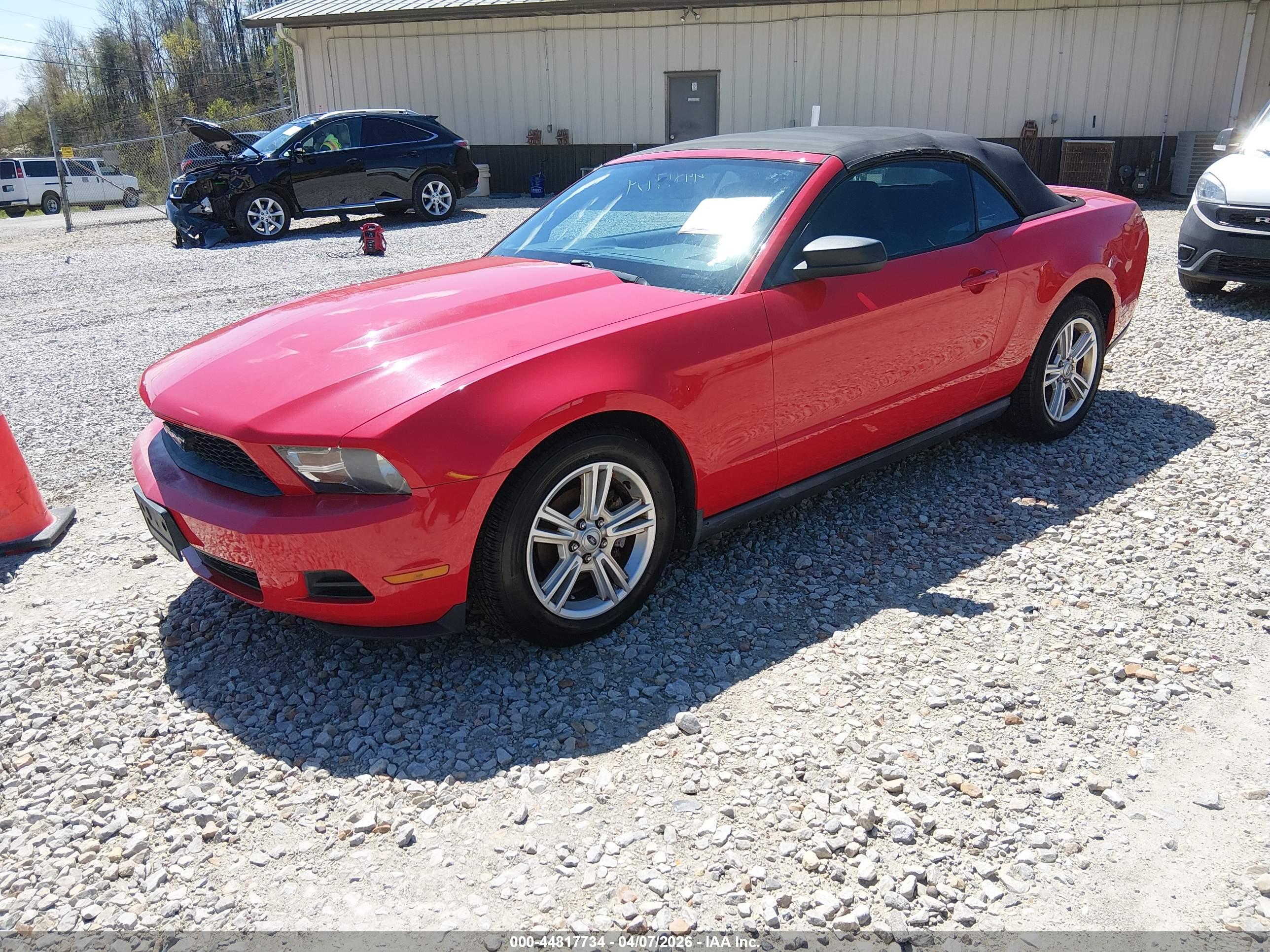 FORD MUSTANG image 2
