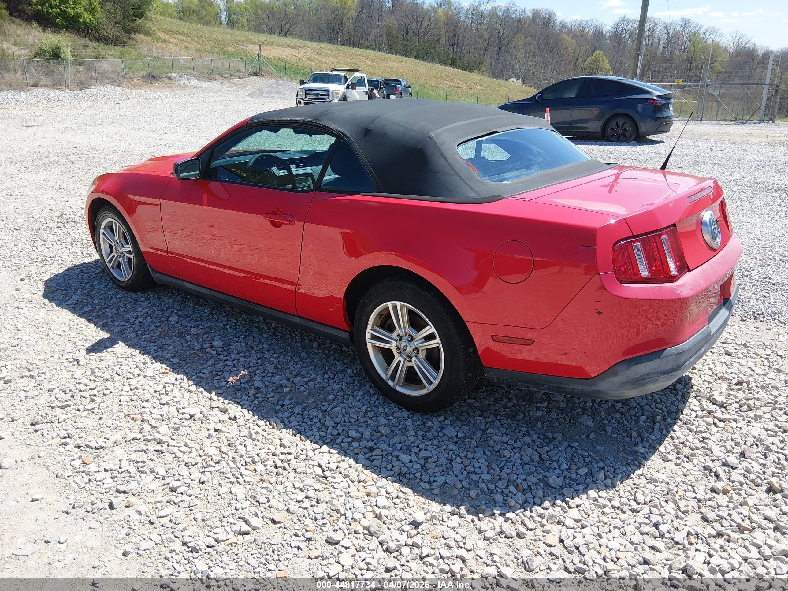 FORD MUSTANG image 3