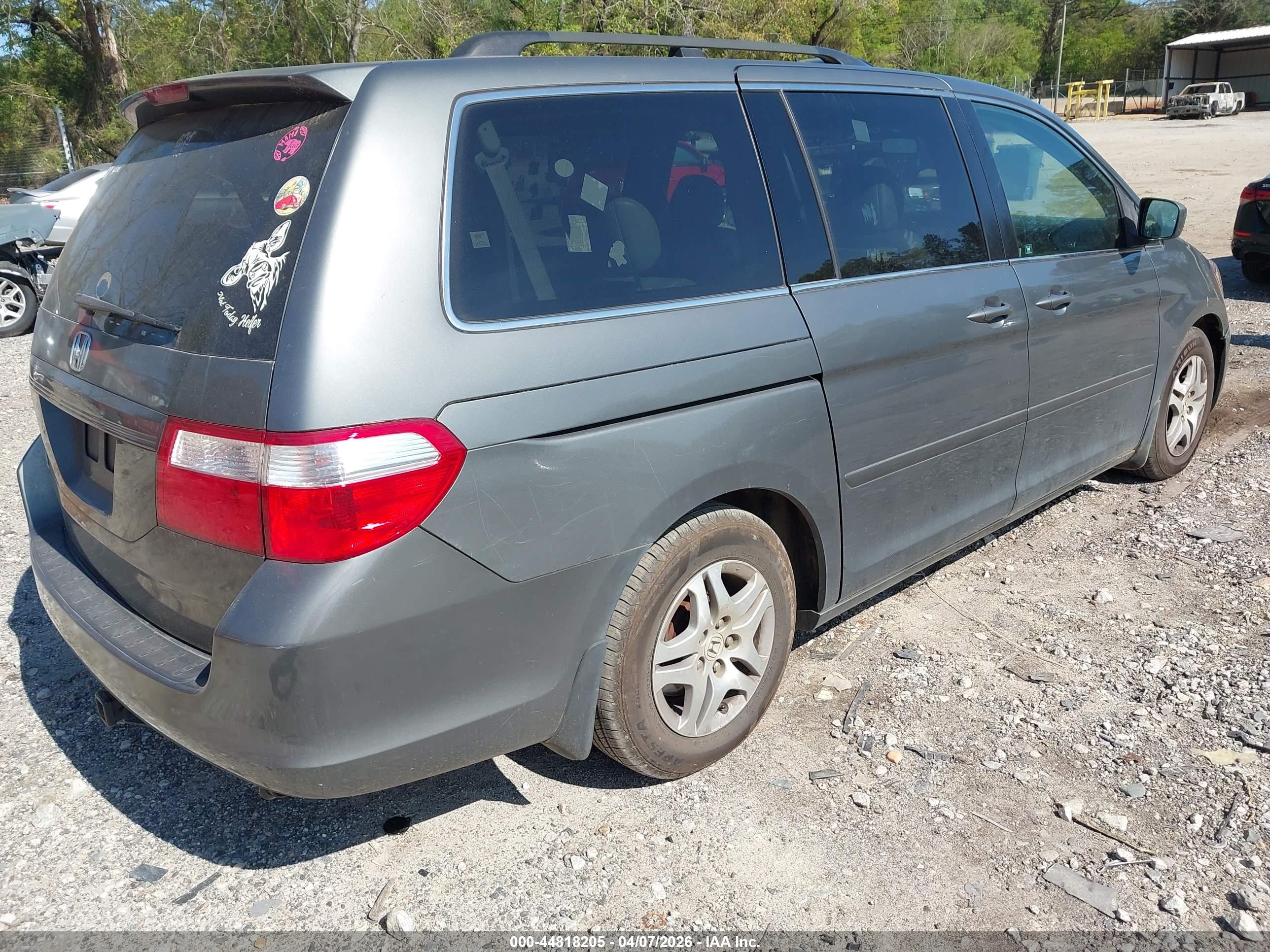 HONDA ODYSSEY image 4