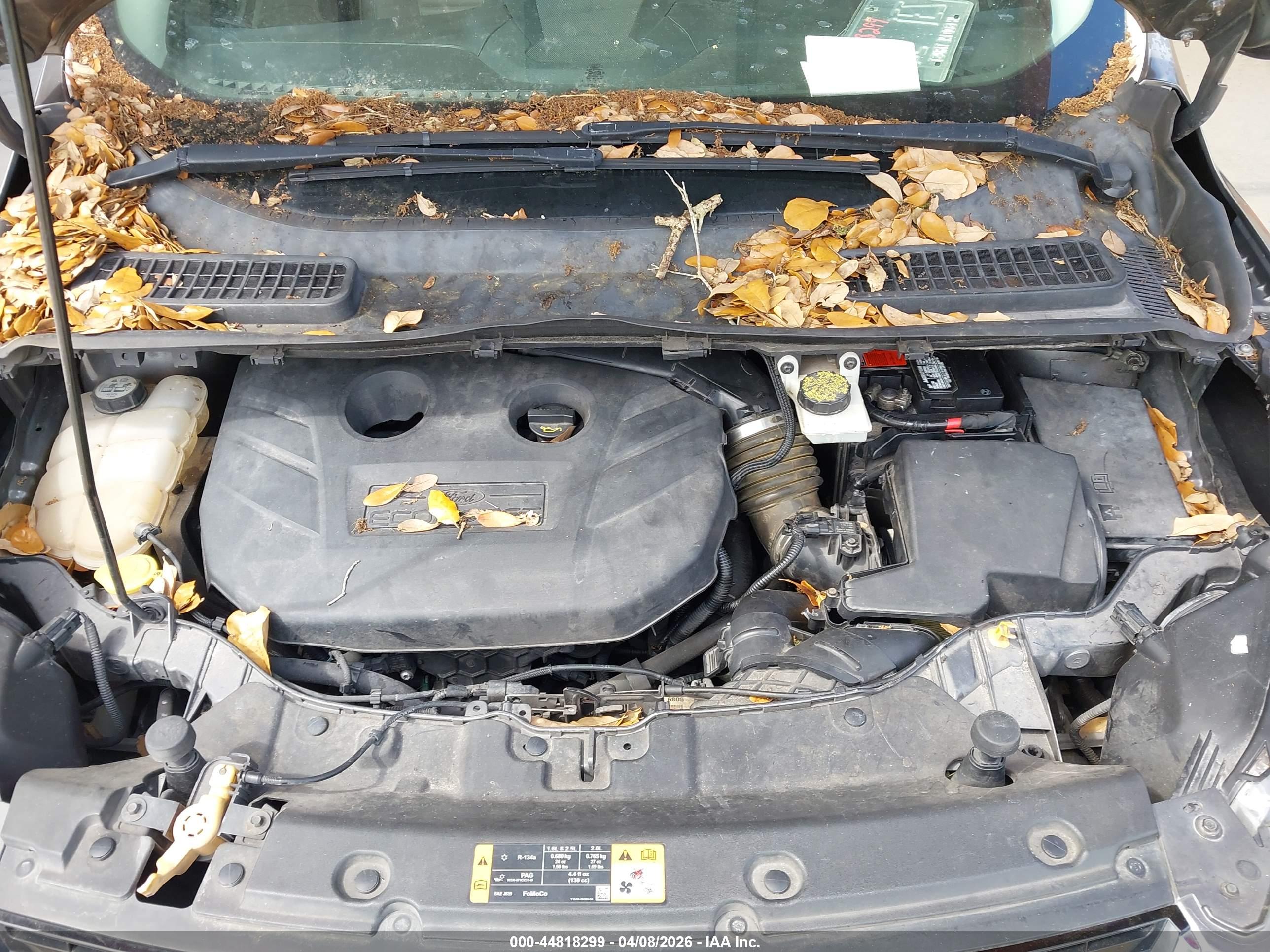 FORD ESCAPE image 10