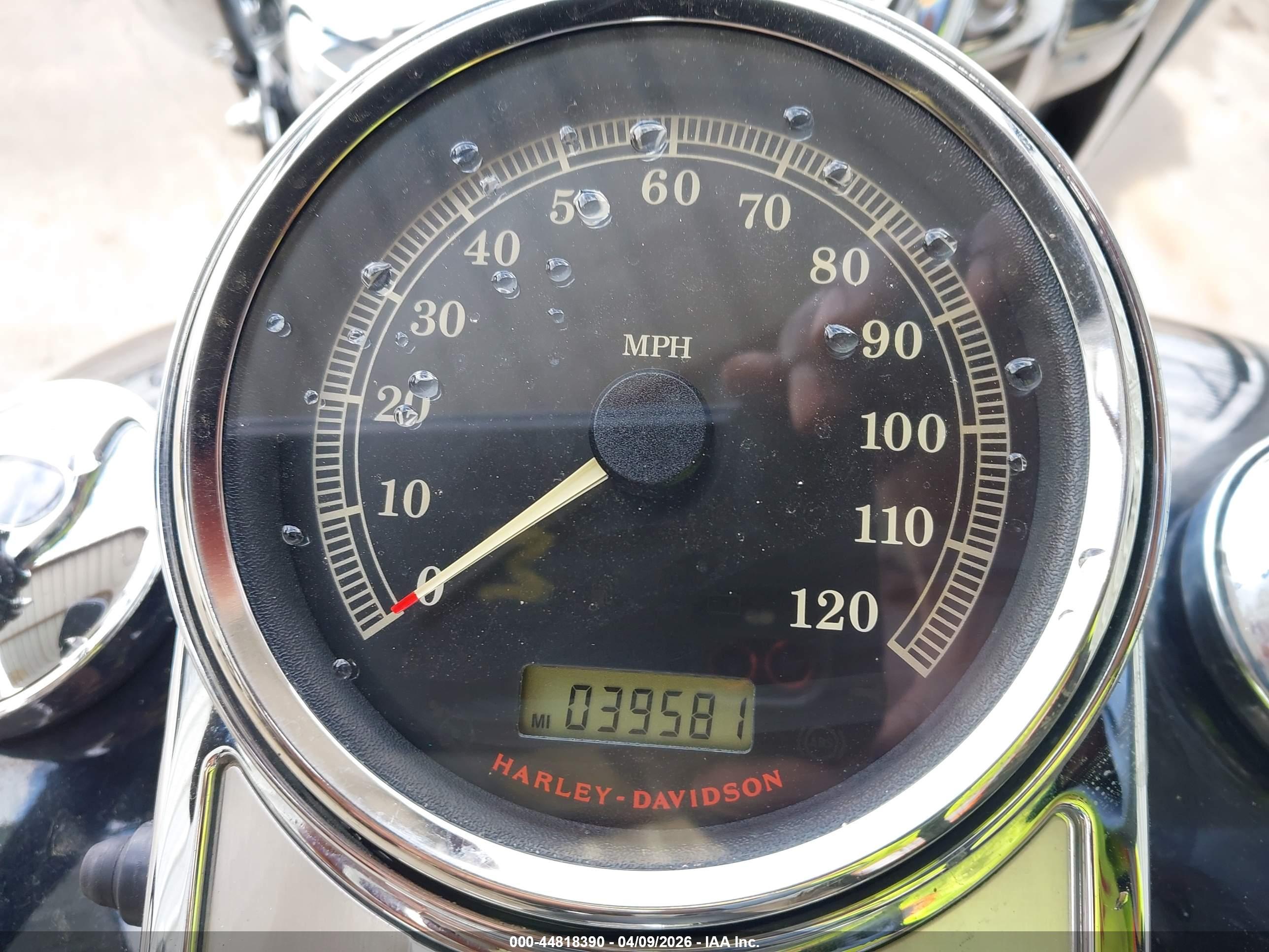 HARLEY-DAVIDSON FLHR image 7