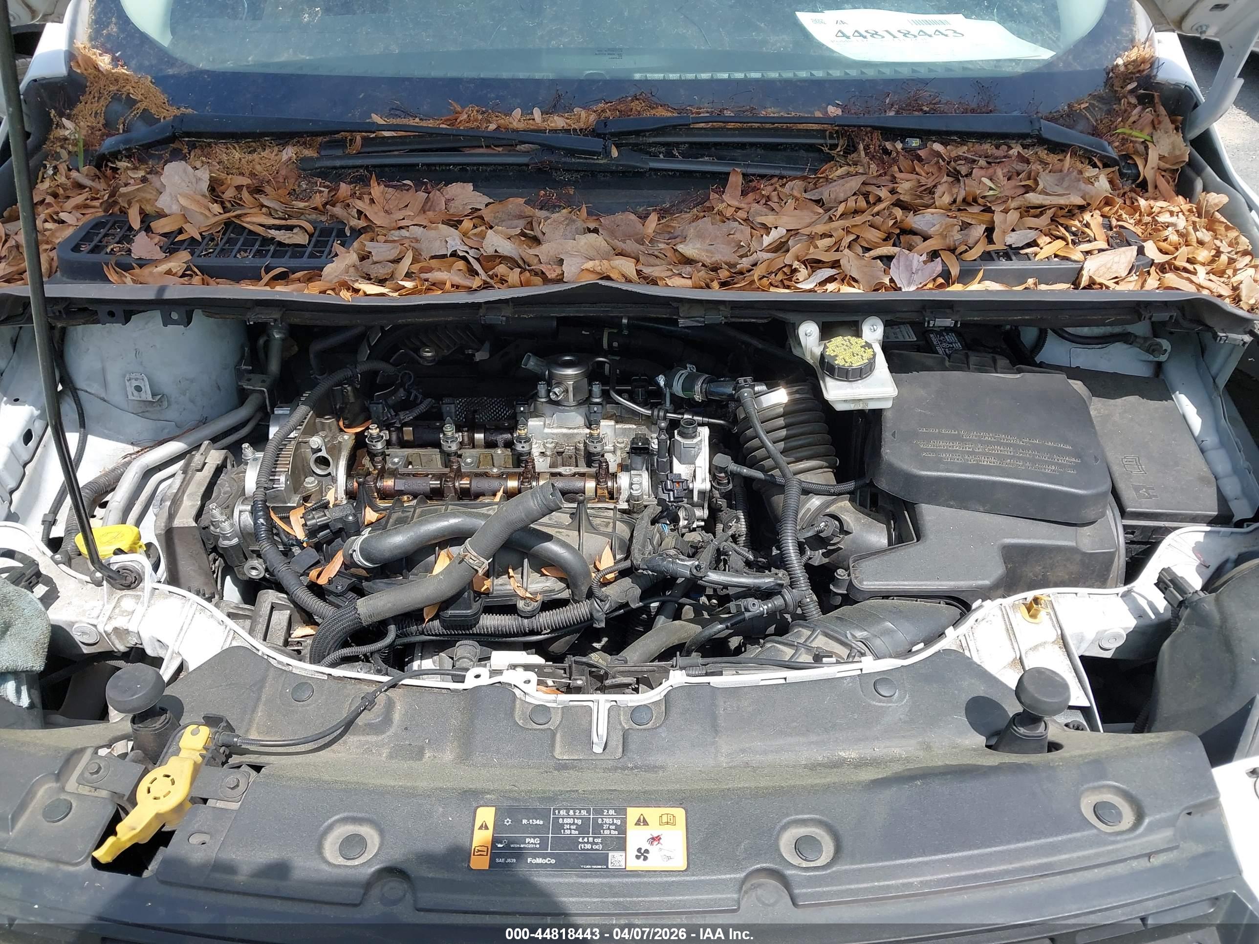 FORD ESCAPE image 10
