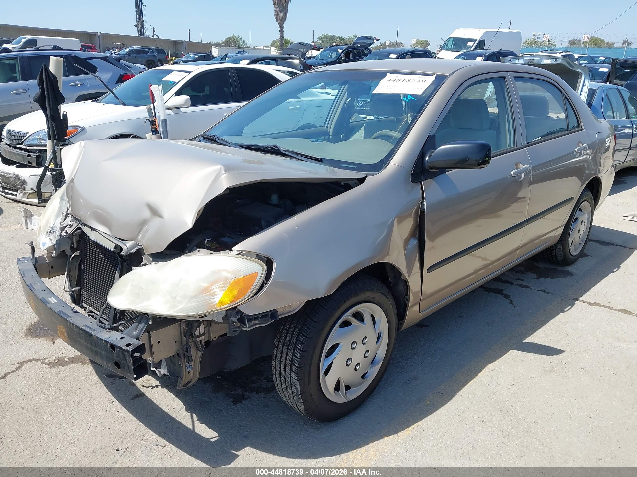 TOYOTA COROLLA image 2