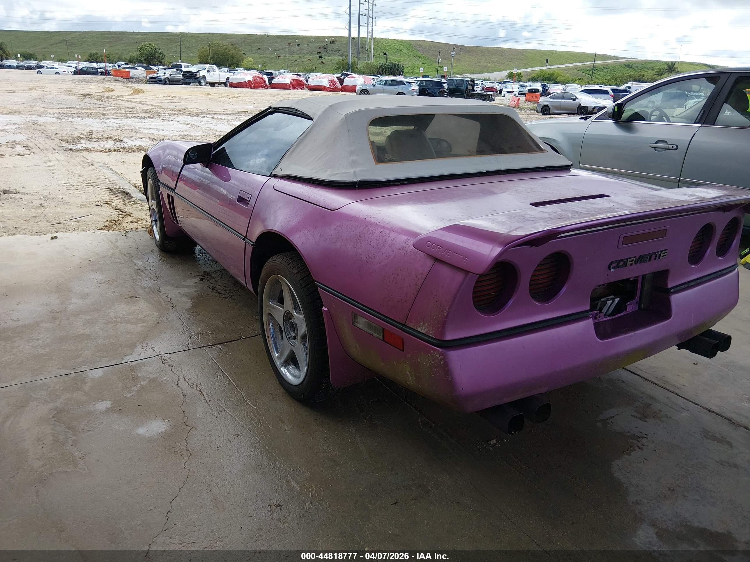 CHEVROLET CORVETTE image 3