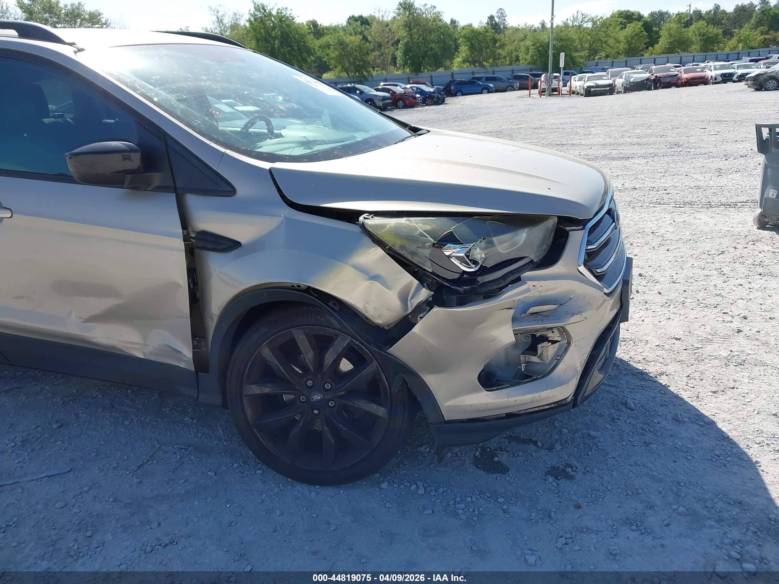 FORD ESCAPE image 6