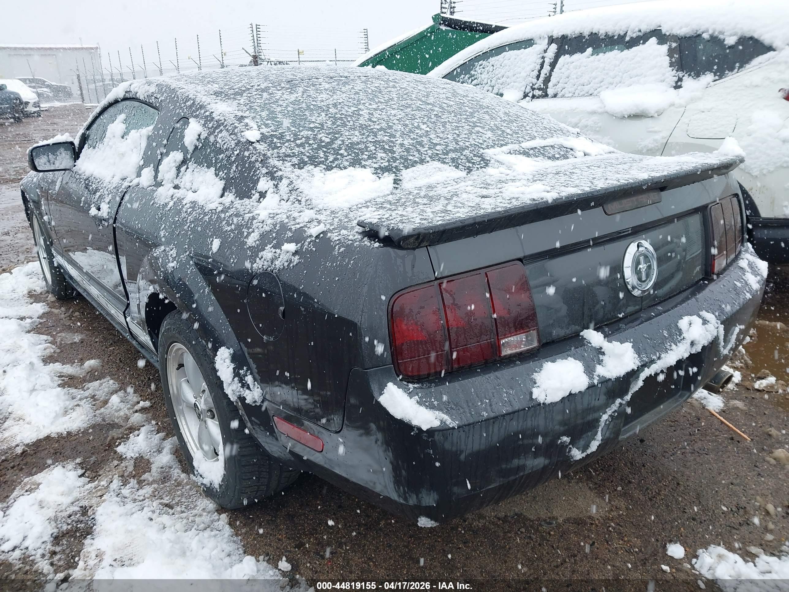 FORD MUSTANG image 3