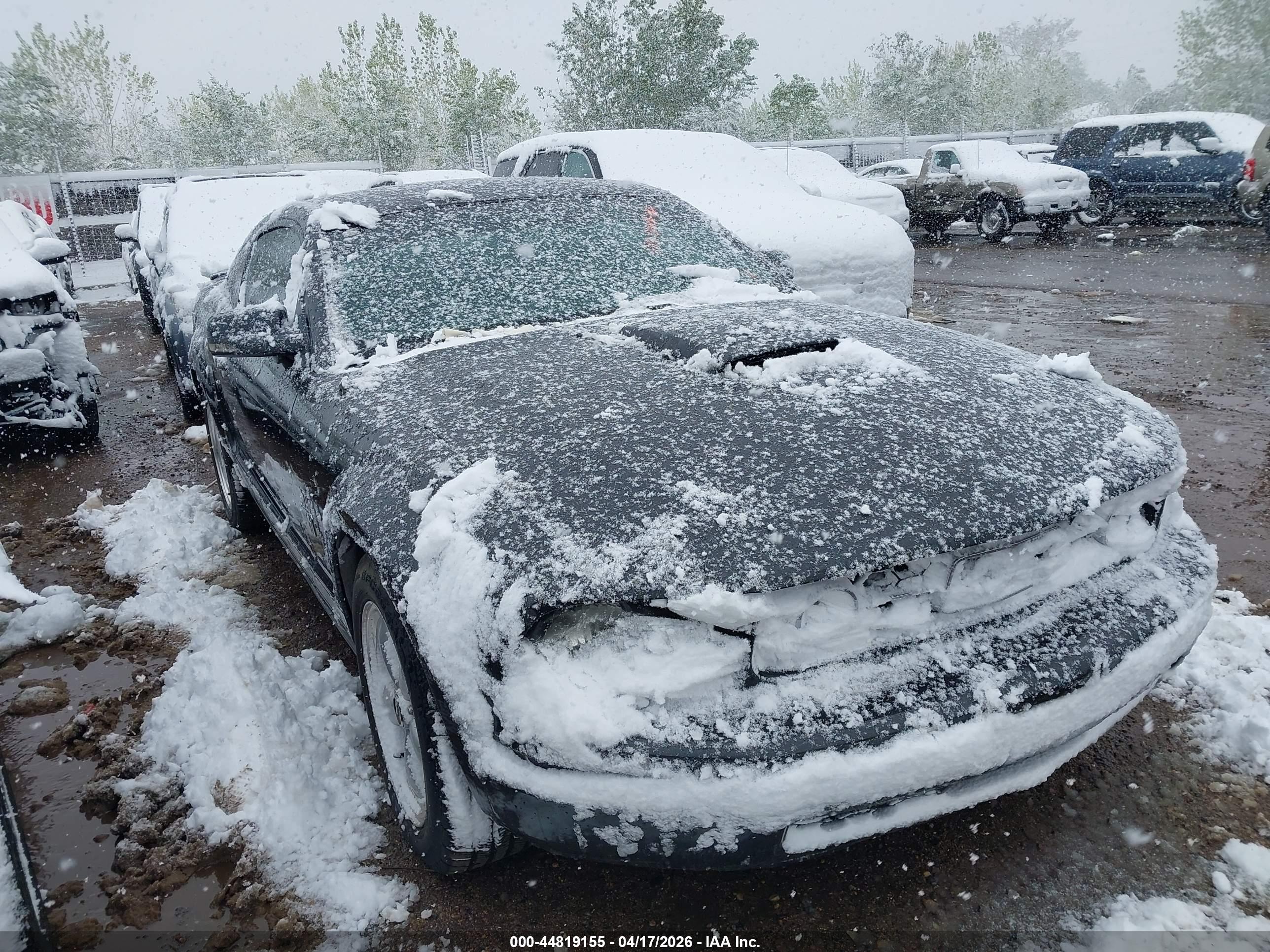 FORD MUSTANG image 6