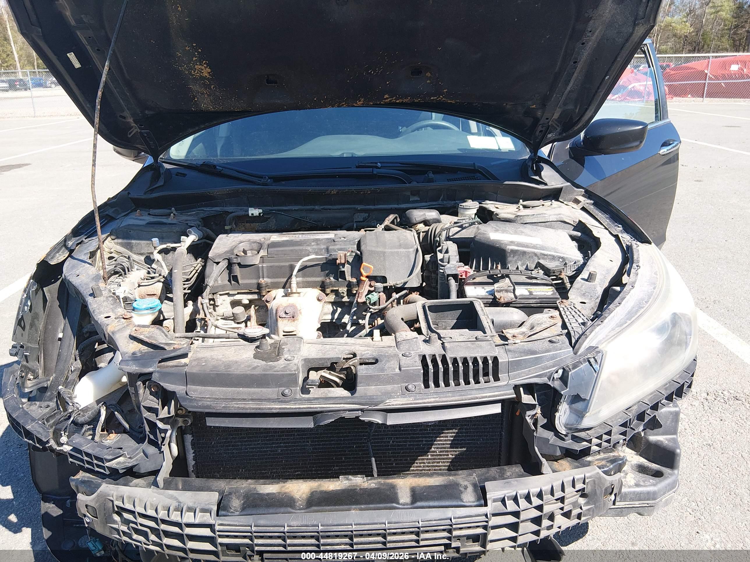 HONDA ACCORD image 10
