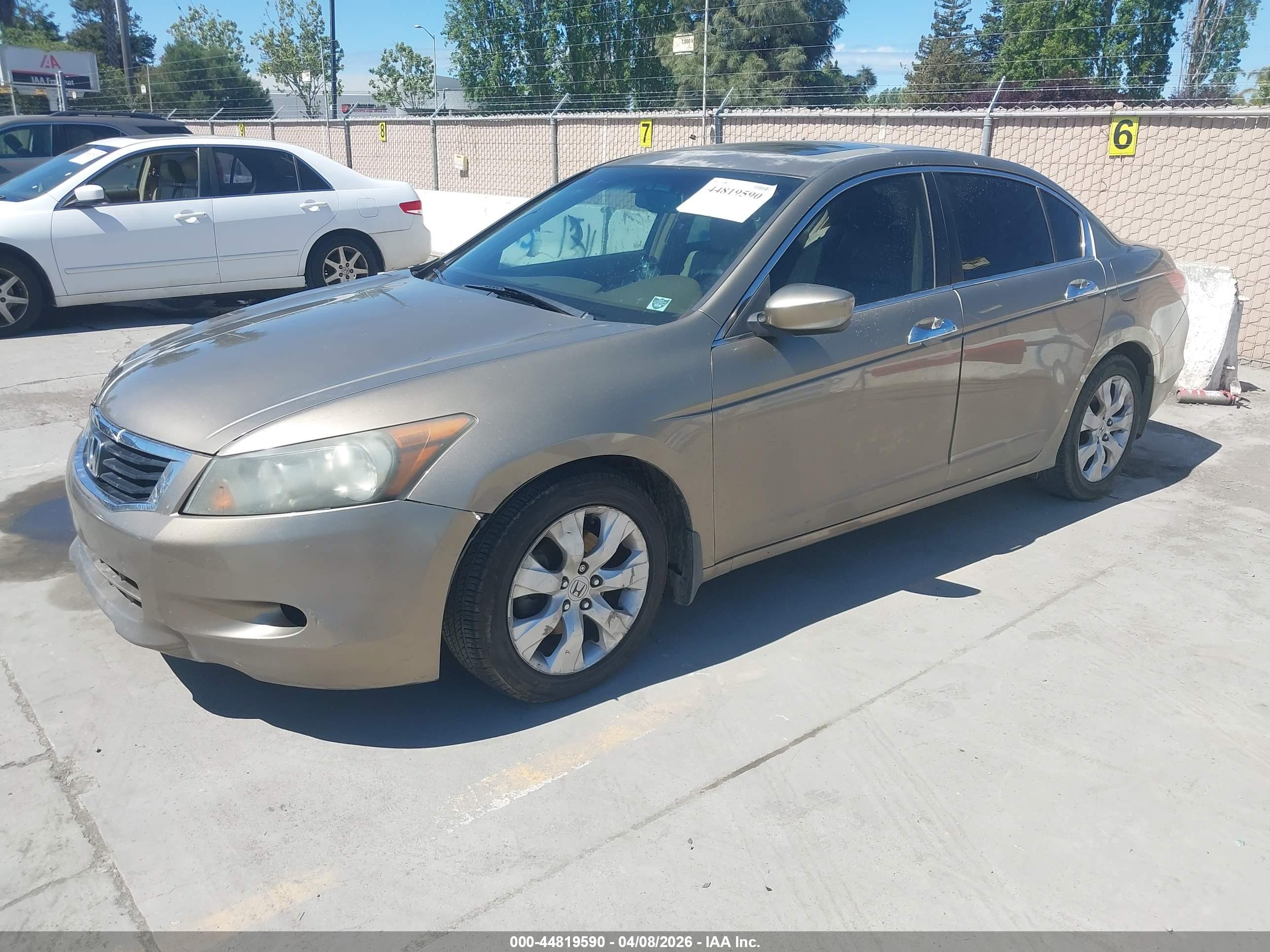 HONDA ACCORD image 2