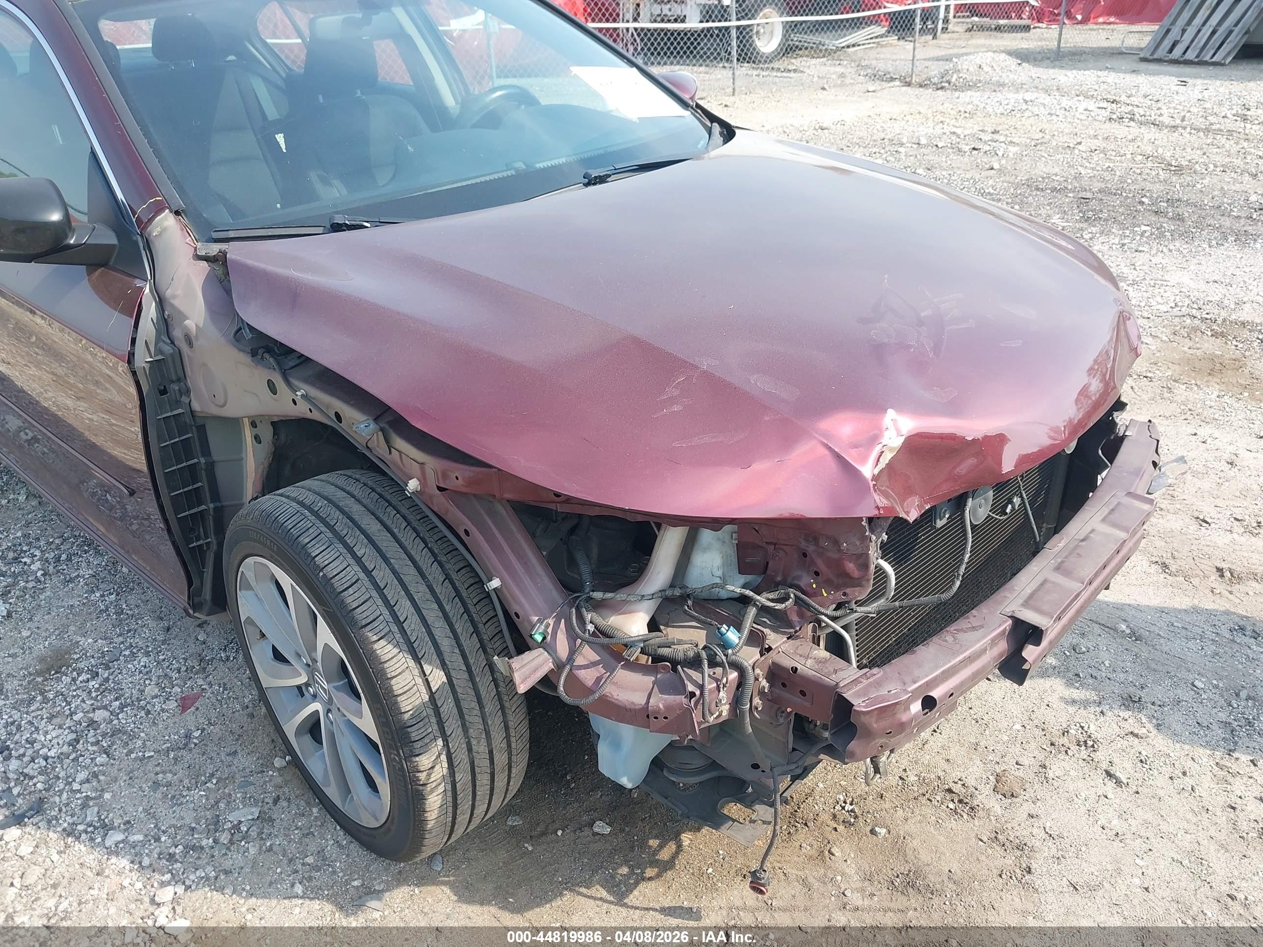 HONDA ACCORD image 6