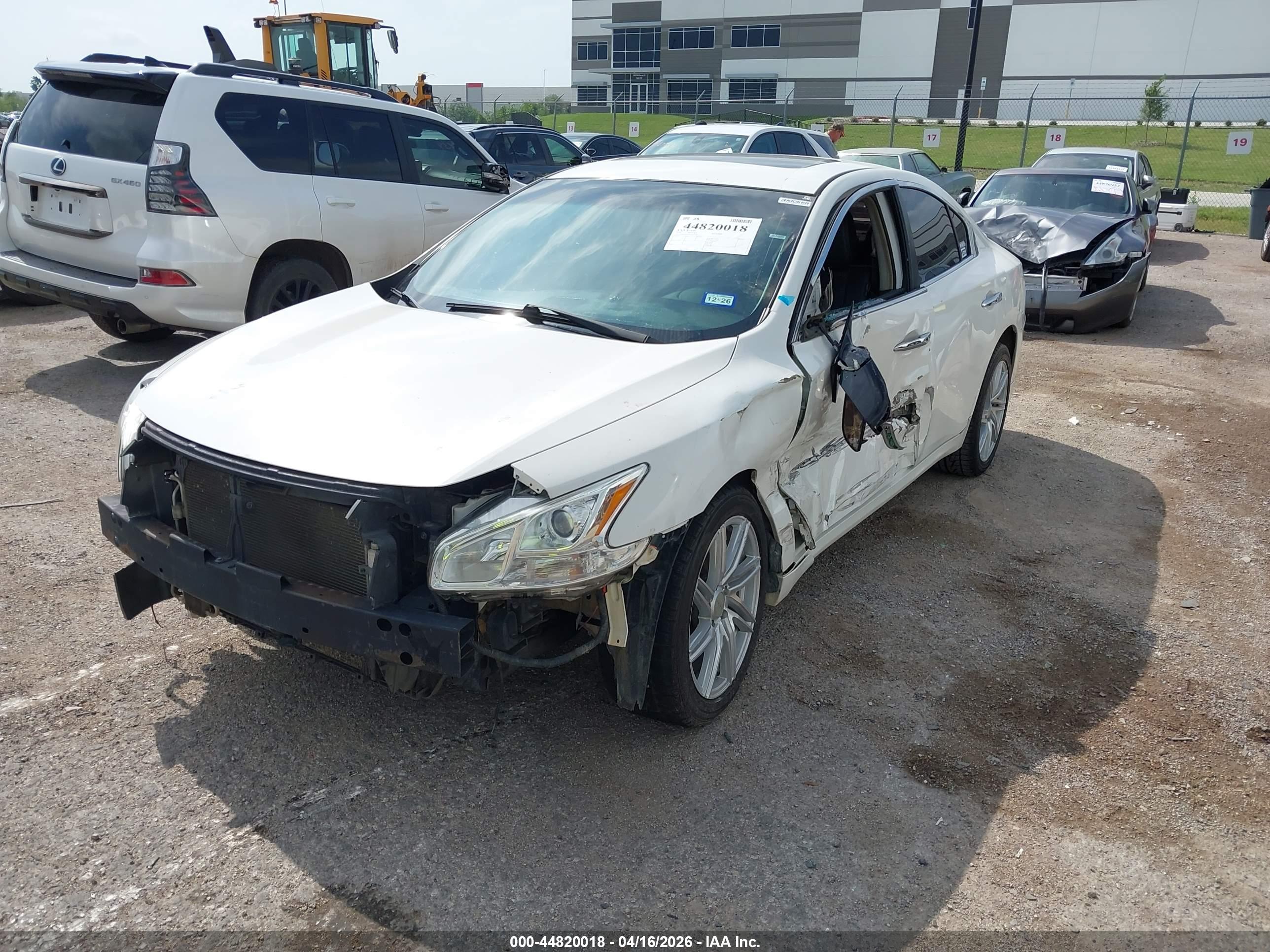 NISSAN MAXIMA image 2