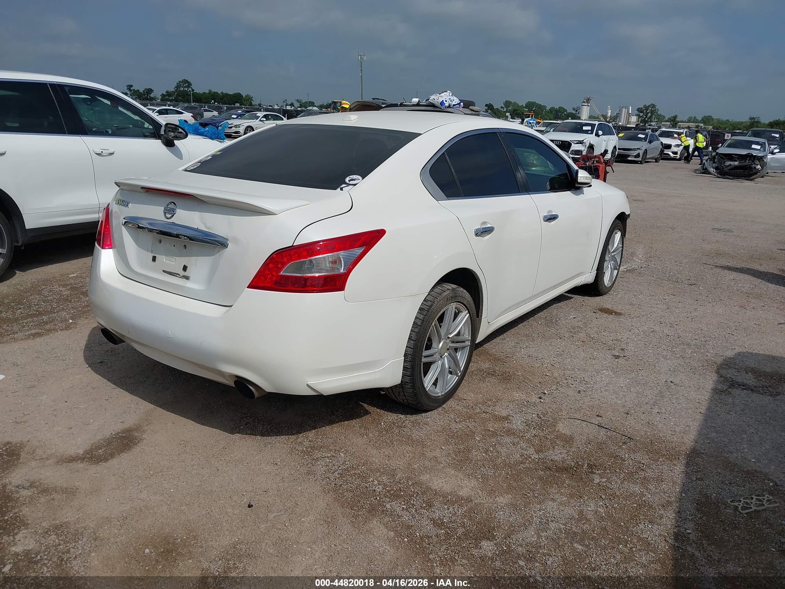 NISSAN MAXIMA image 4