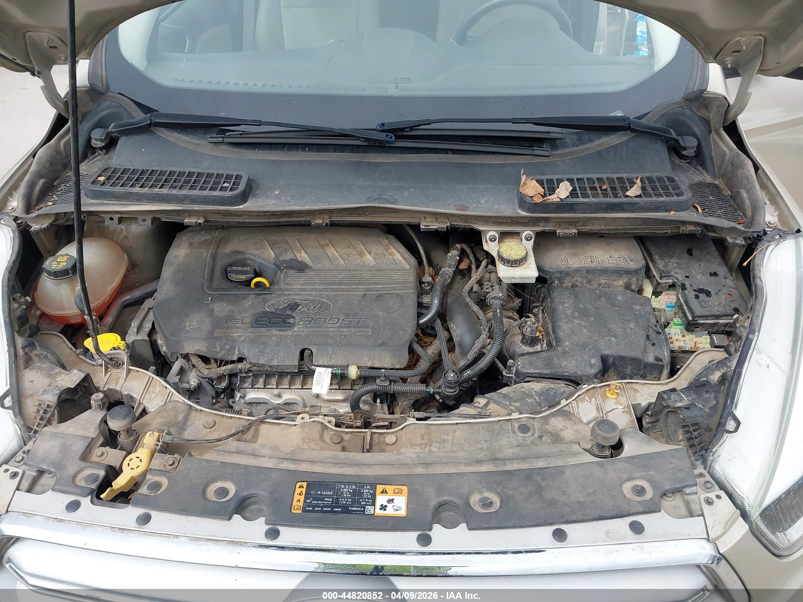 FORD ESCAPE image 10