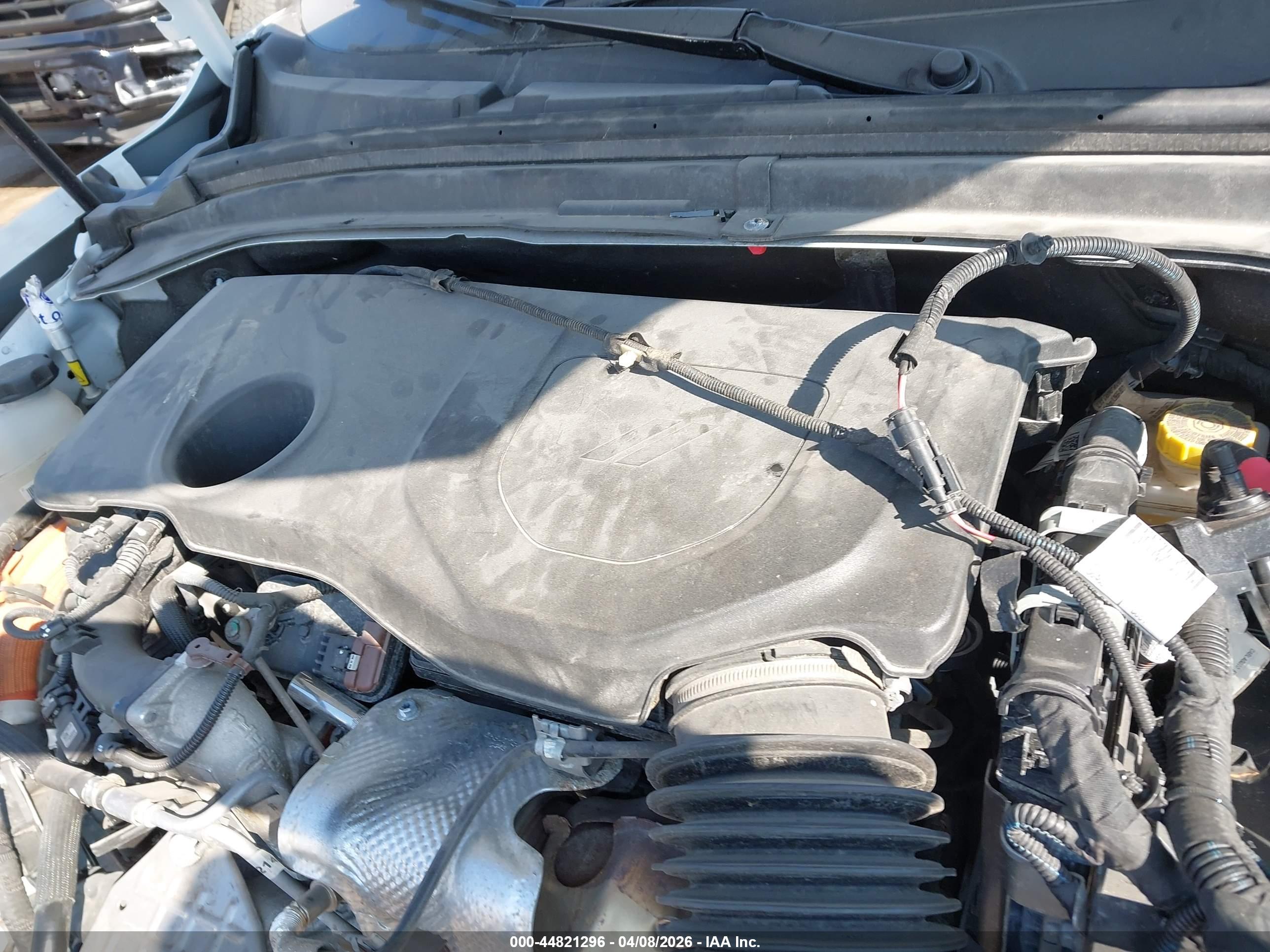 DODGE HORNET image 10