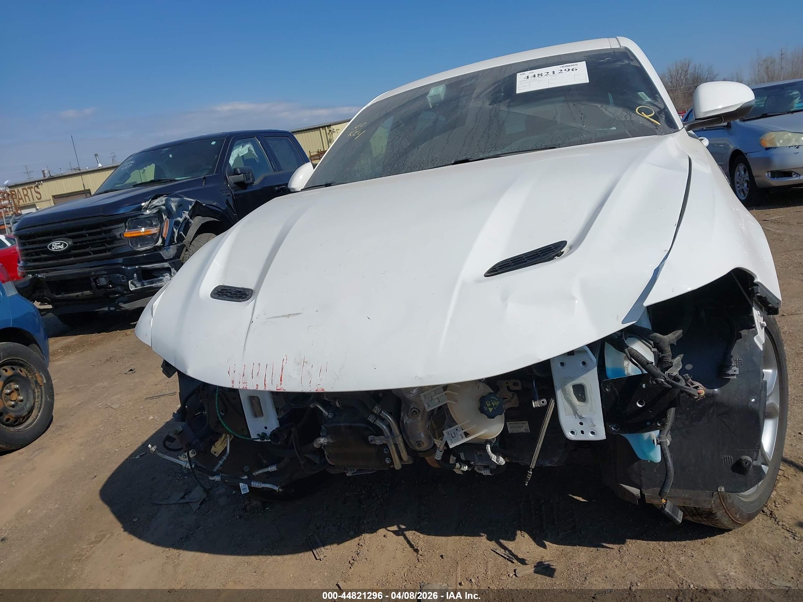 DODGE HORNET image 6