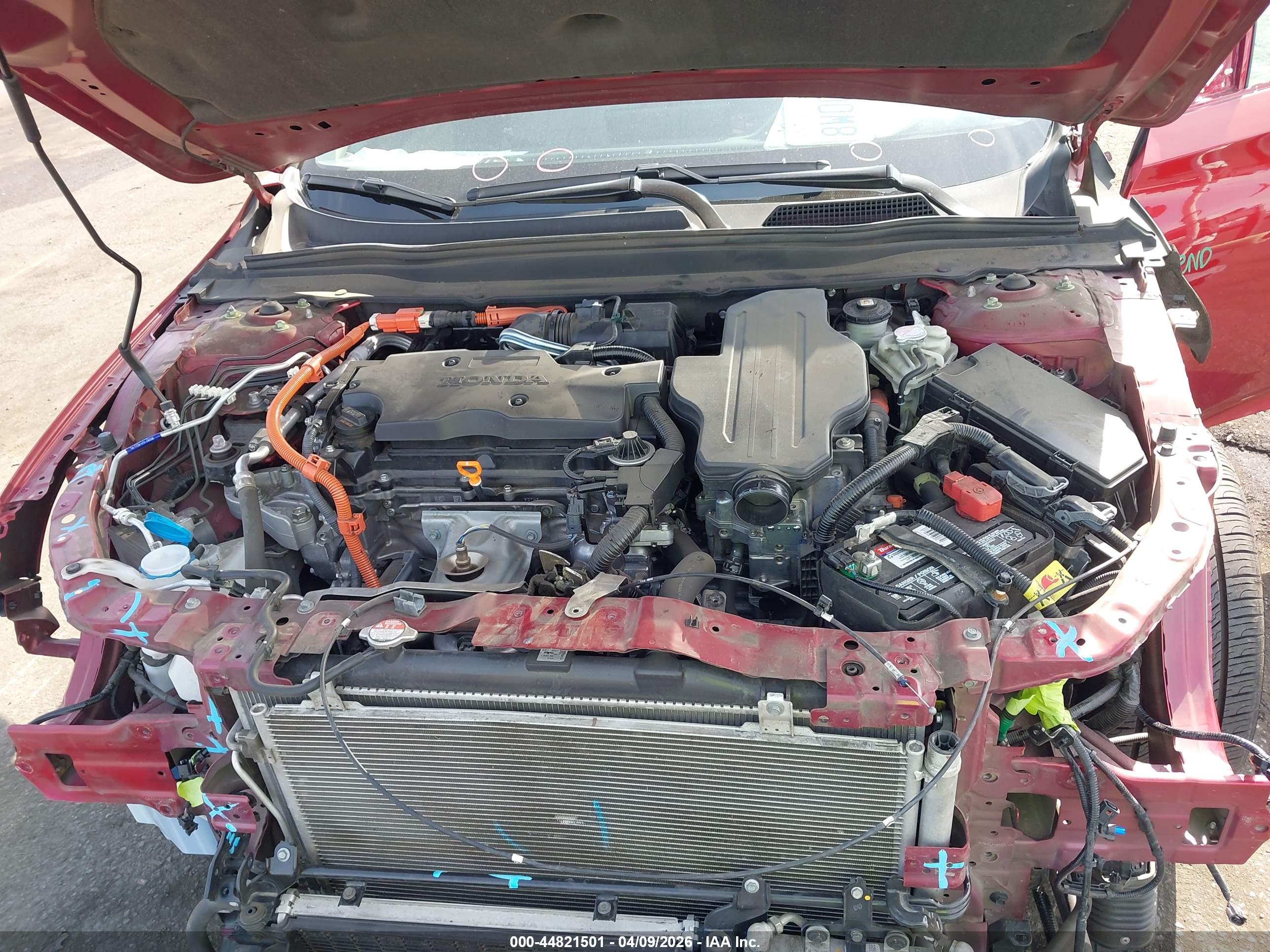 HONDA ACCORD image 10