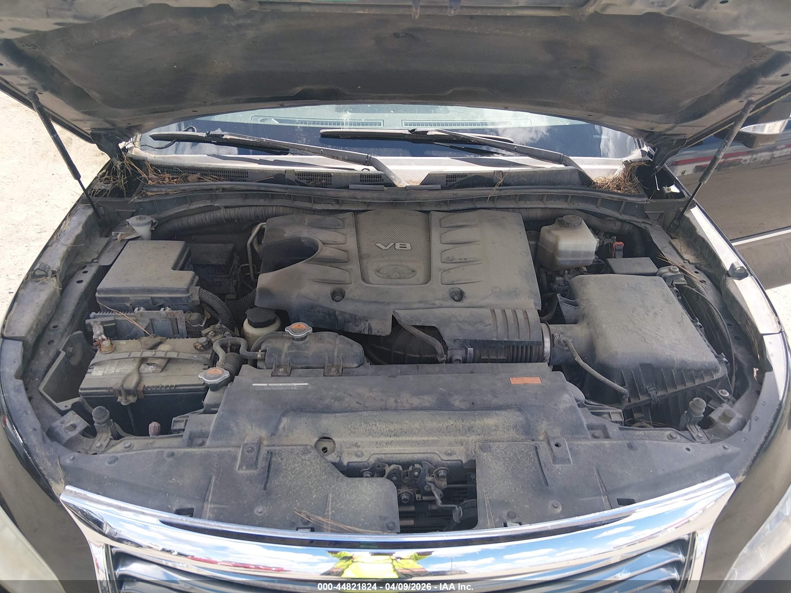 INFINITI QX80 image 10