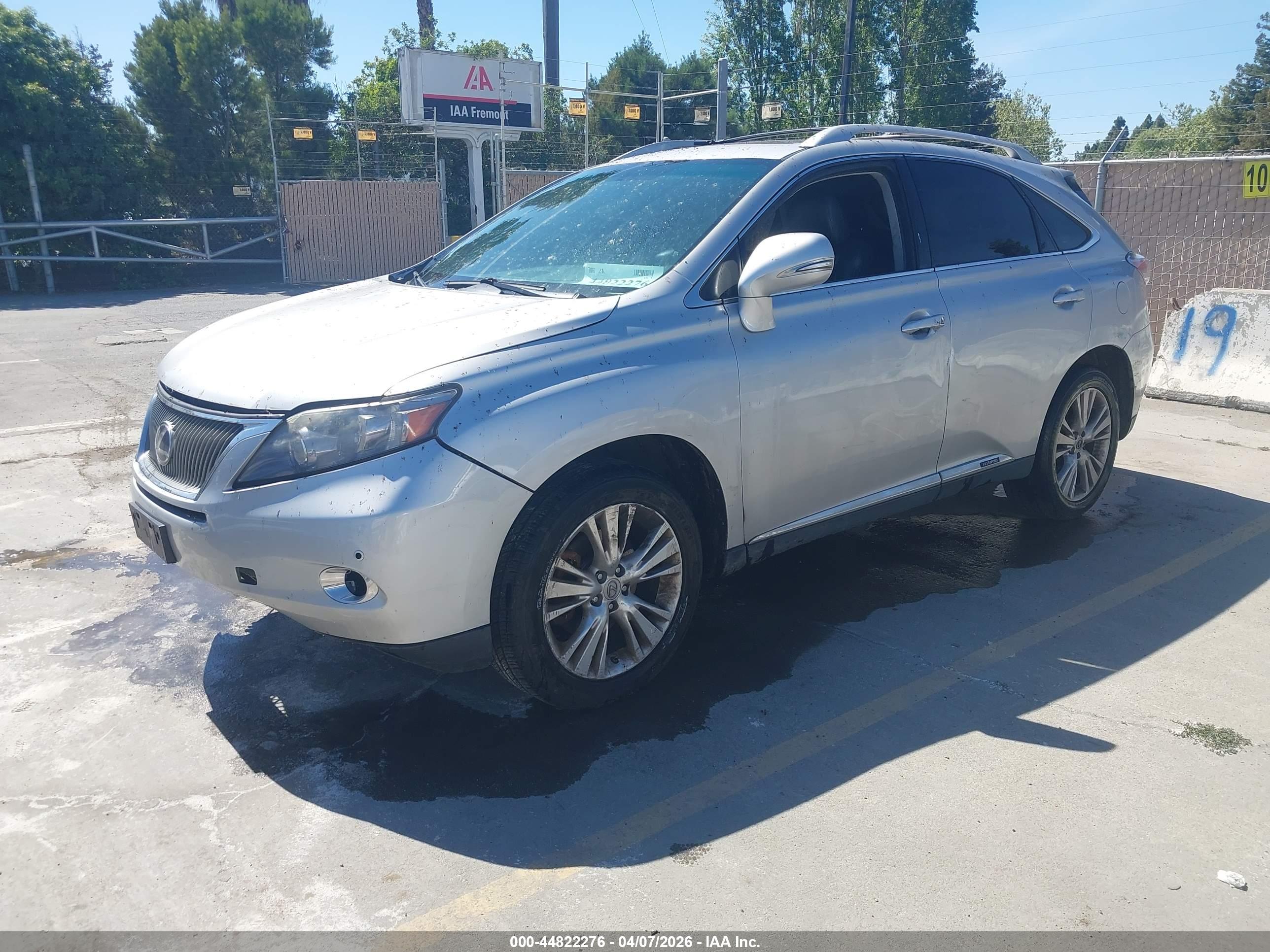 LEXUS RX image 2