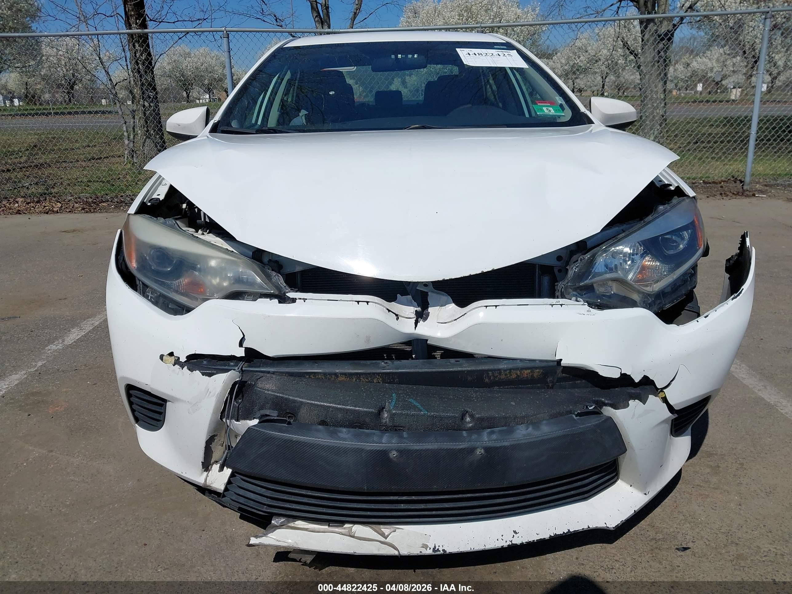 TOYOTA COROLLA image 6