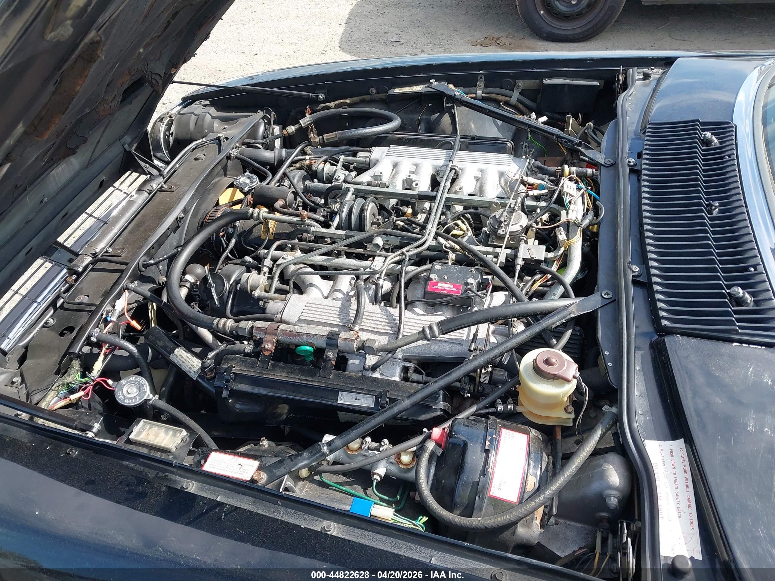 JAGUAR XJS image 10