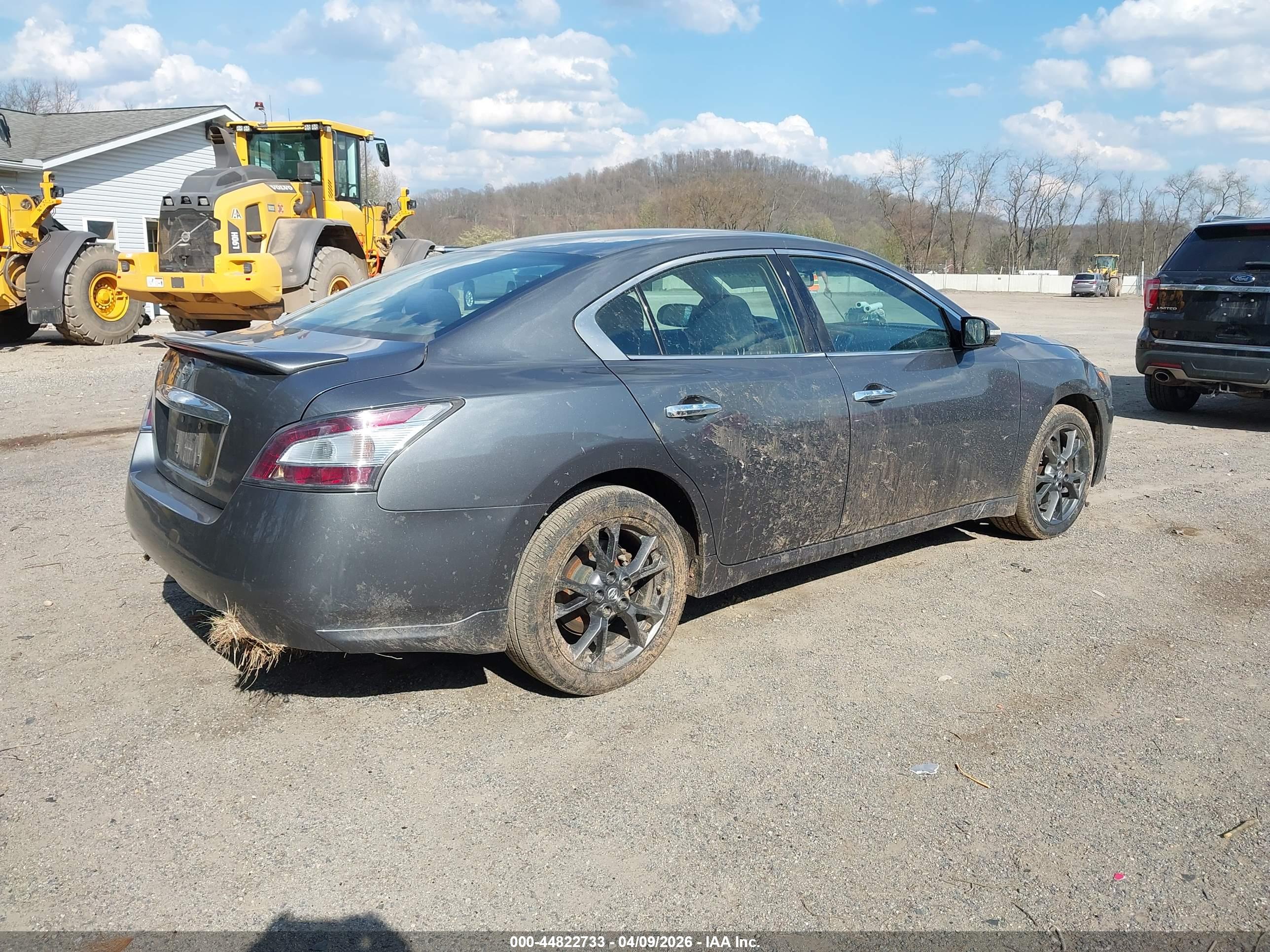 NISSAN MAXIMA image 4