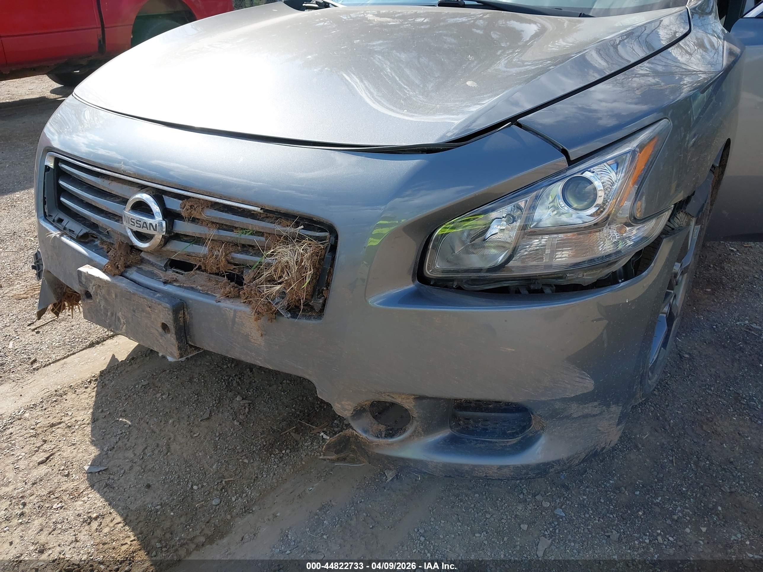 NISSAN MAXIMA image 6
