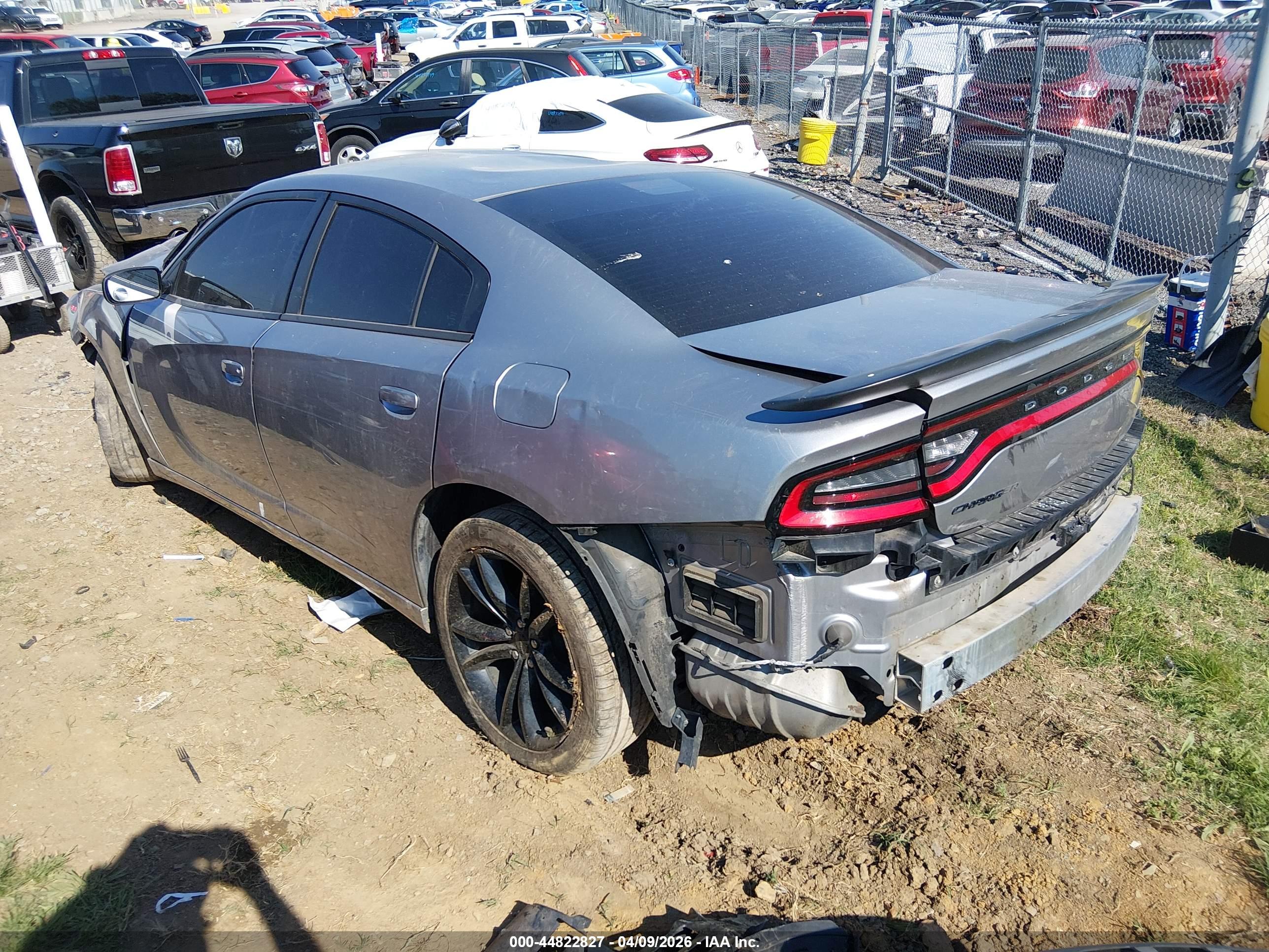 DODGE CHARGER image 3