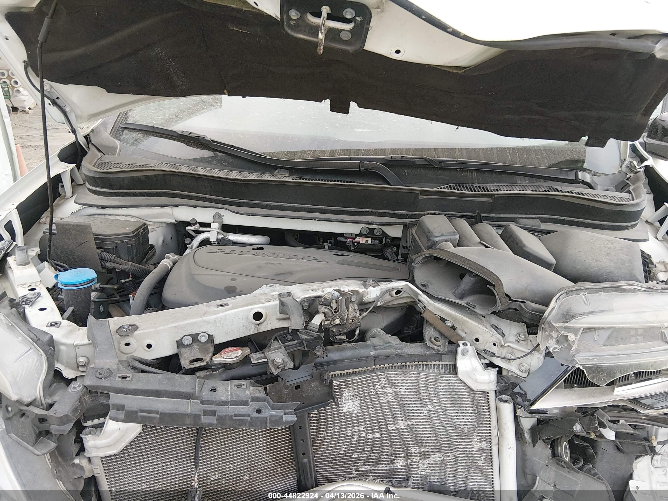 HONDA PASSPORT image 10