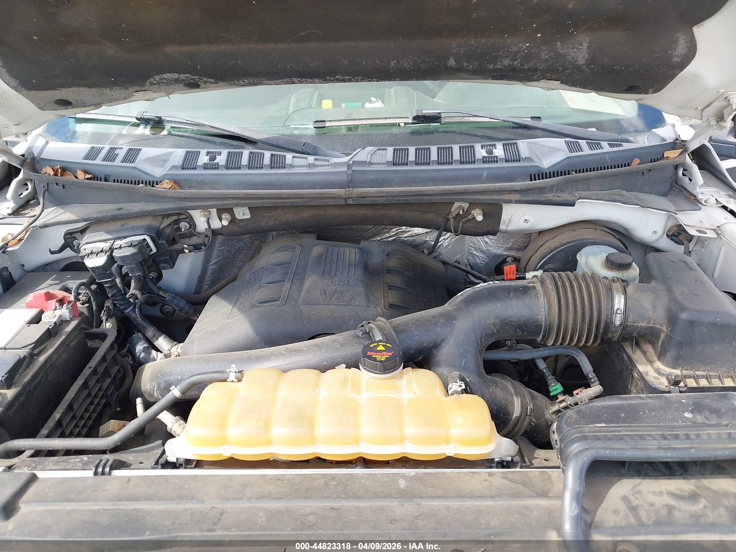 FORD F-150 image 10