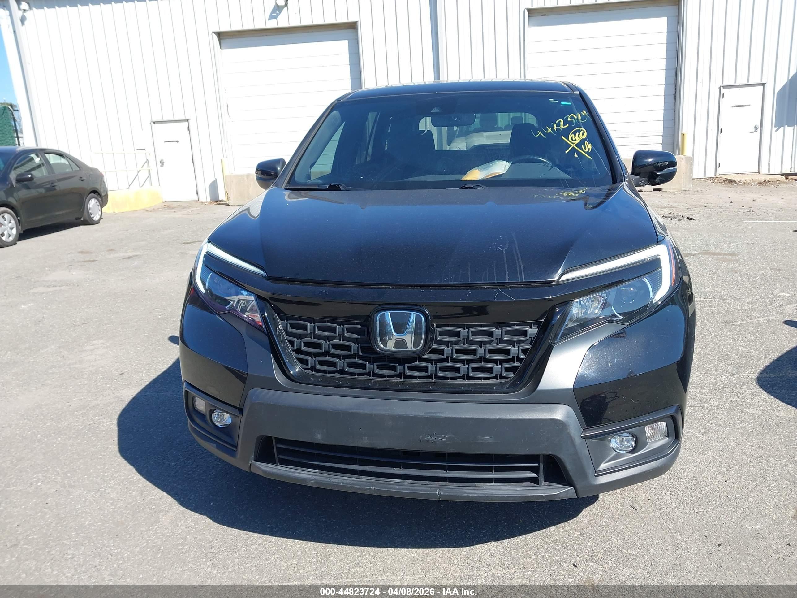 HONDA PASSPORT image 6