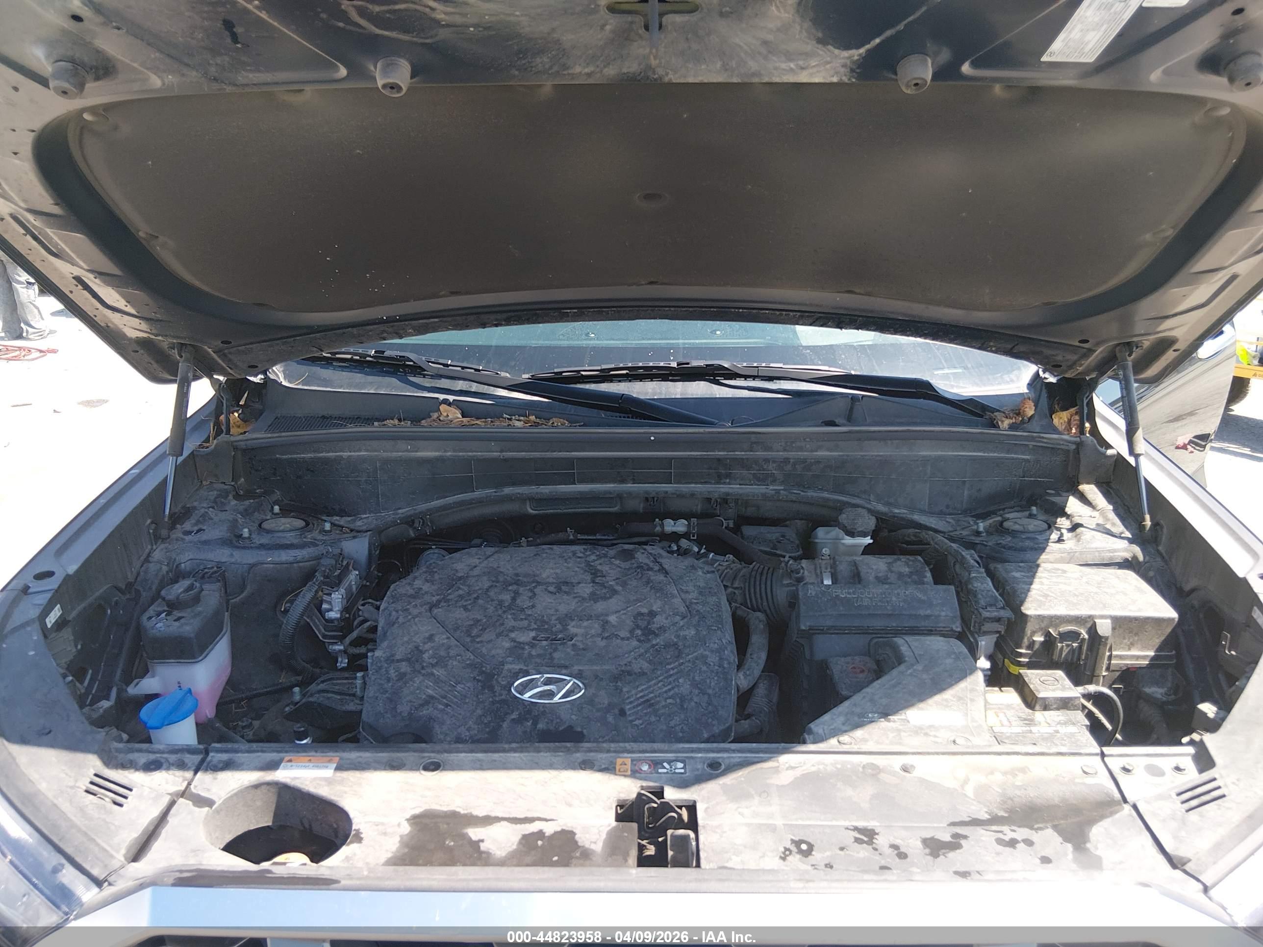 HYUNDAI PALISADE image 10
