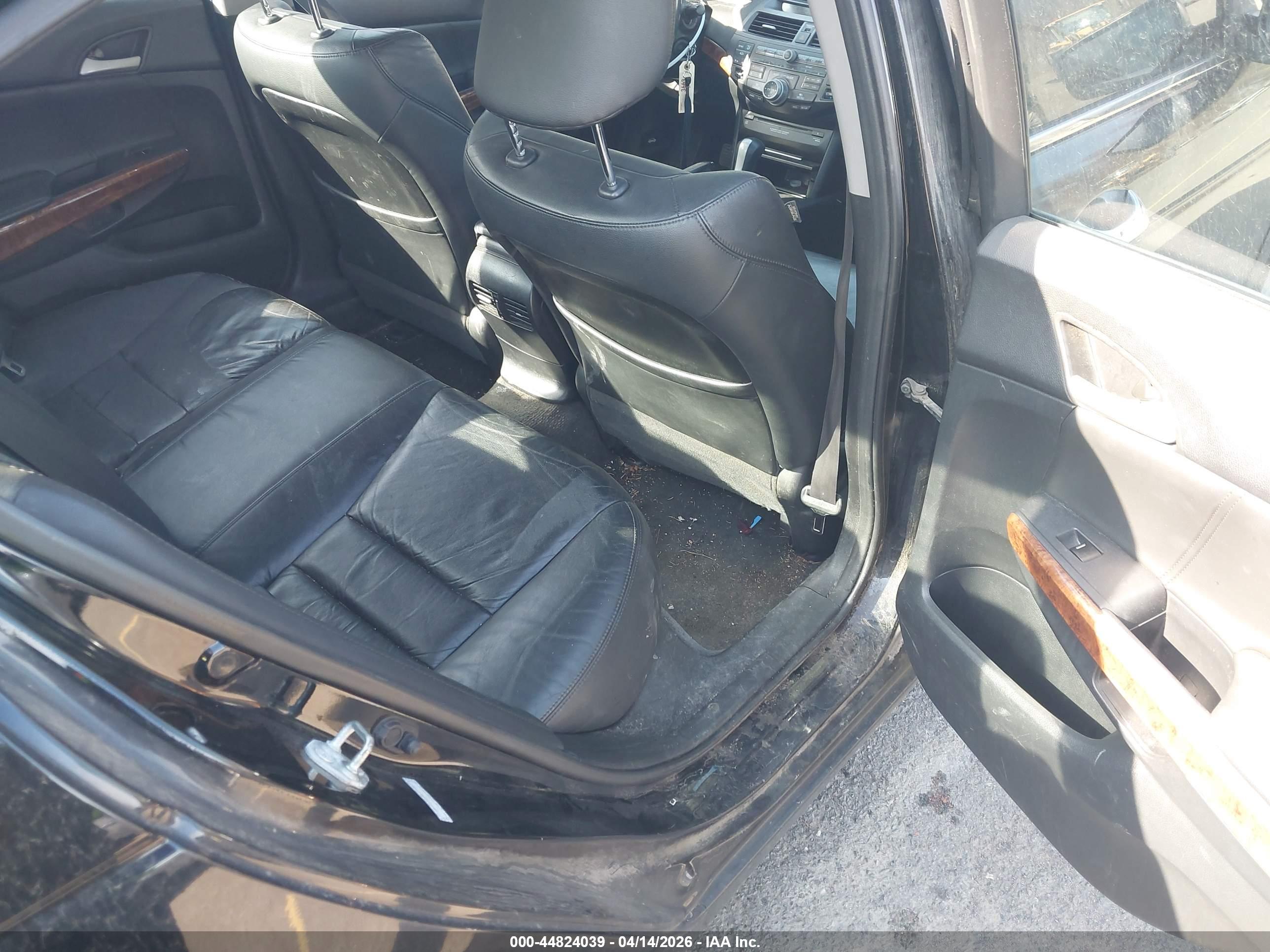 HONDA ACCORD image 8