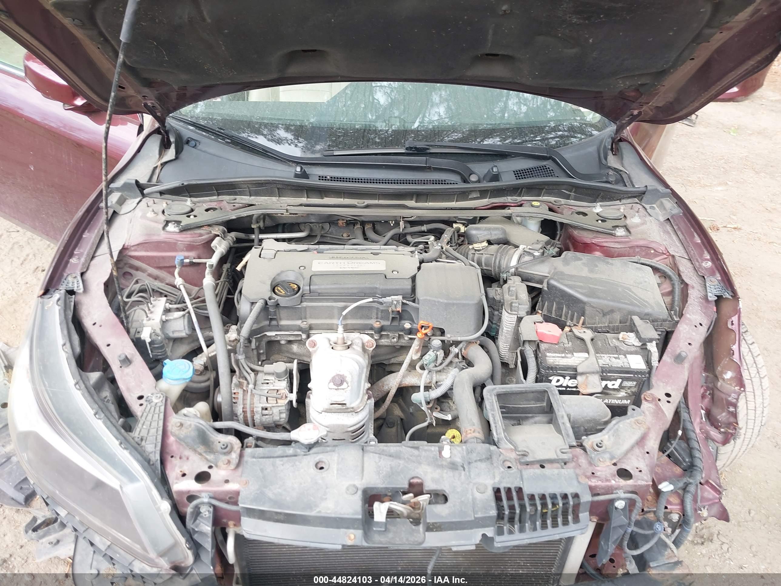 HONDA ACCORD image 10