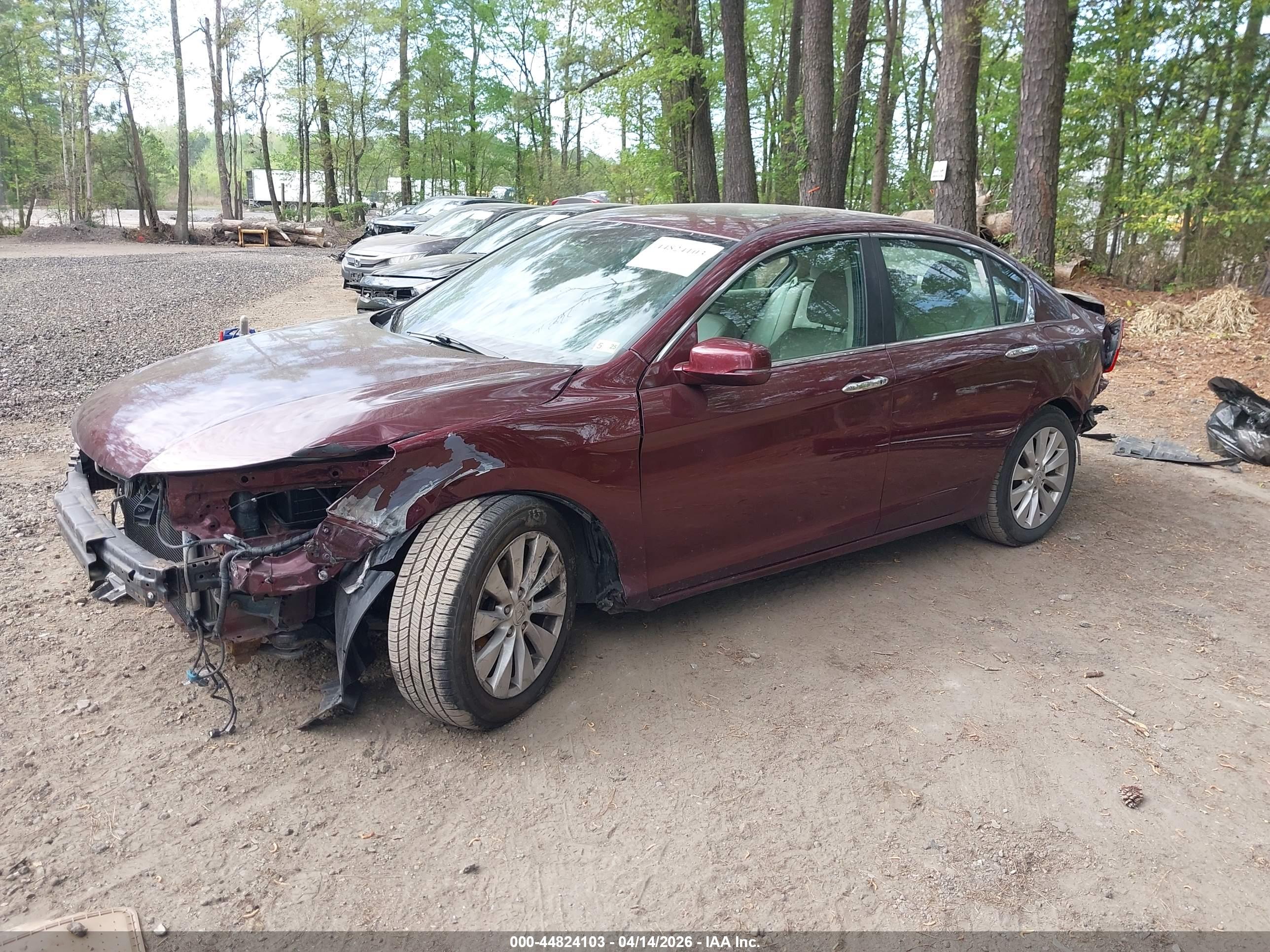 HONDA ACCORD image 2