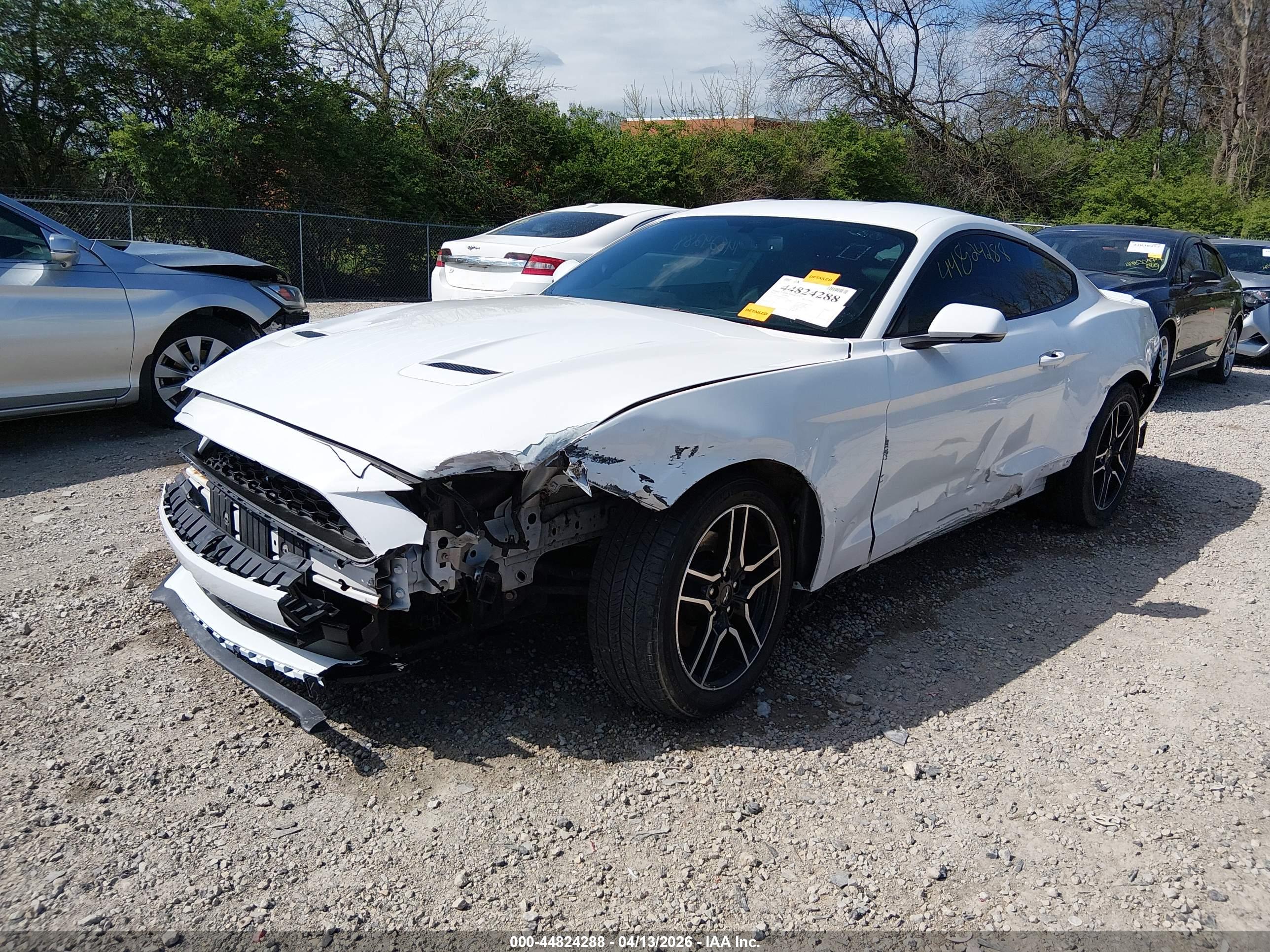 FORD MUSTANG image 2