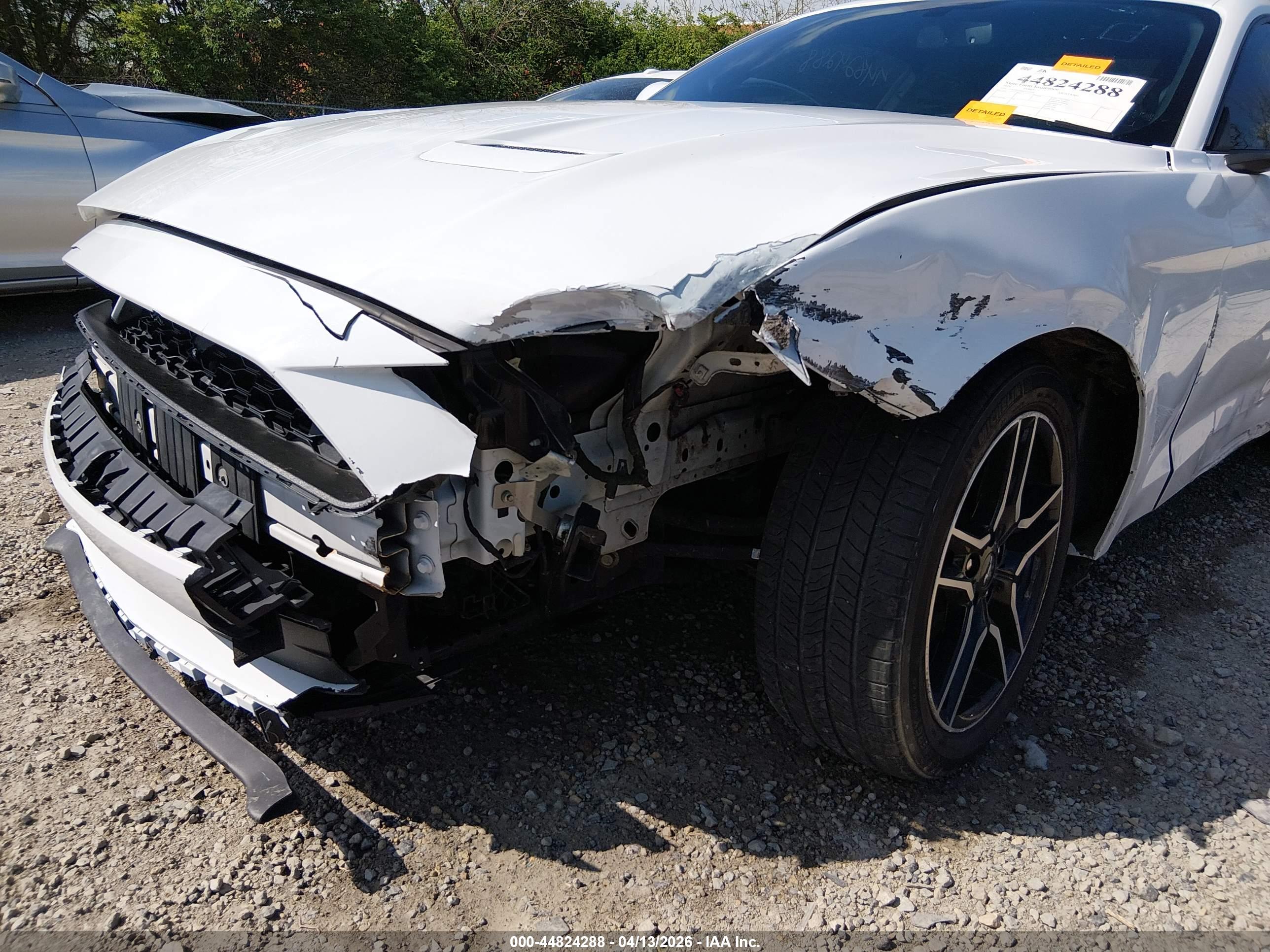 FORD MUSTANG image 6