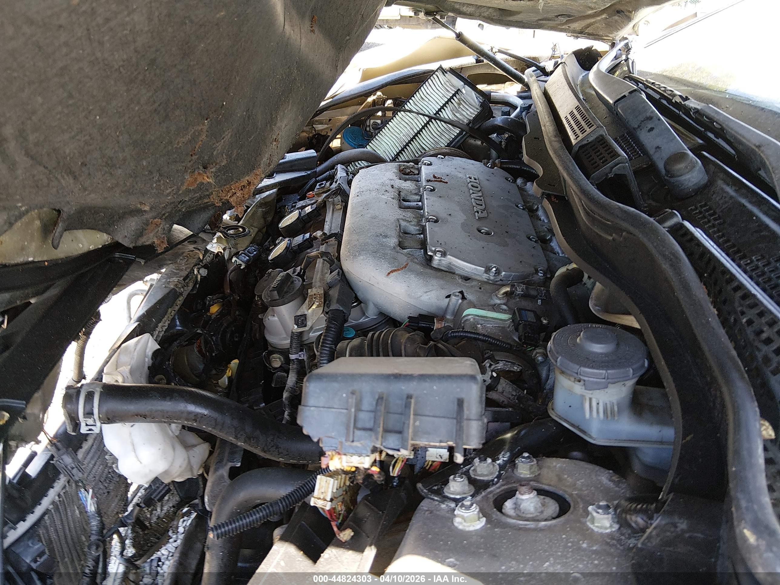HONDA ACCORD image 10