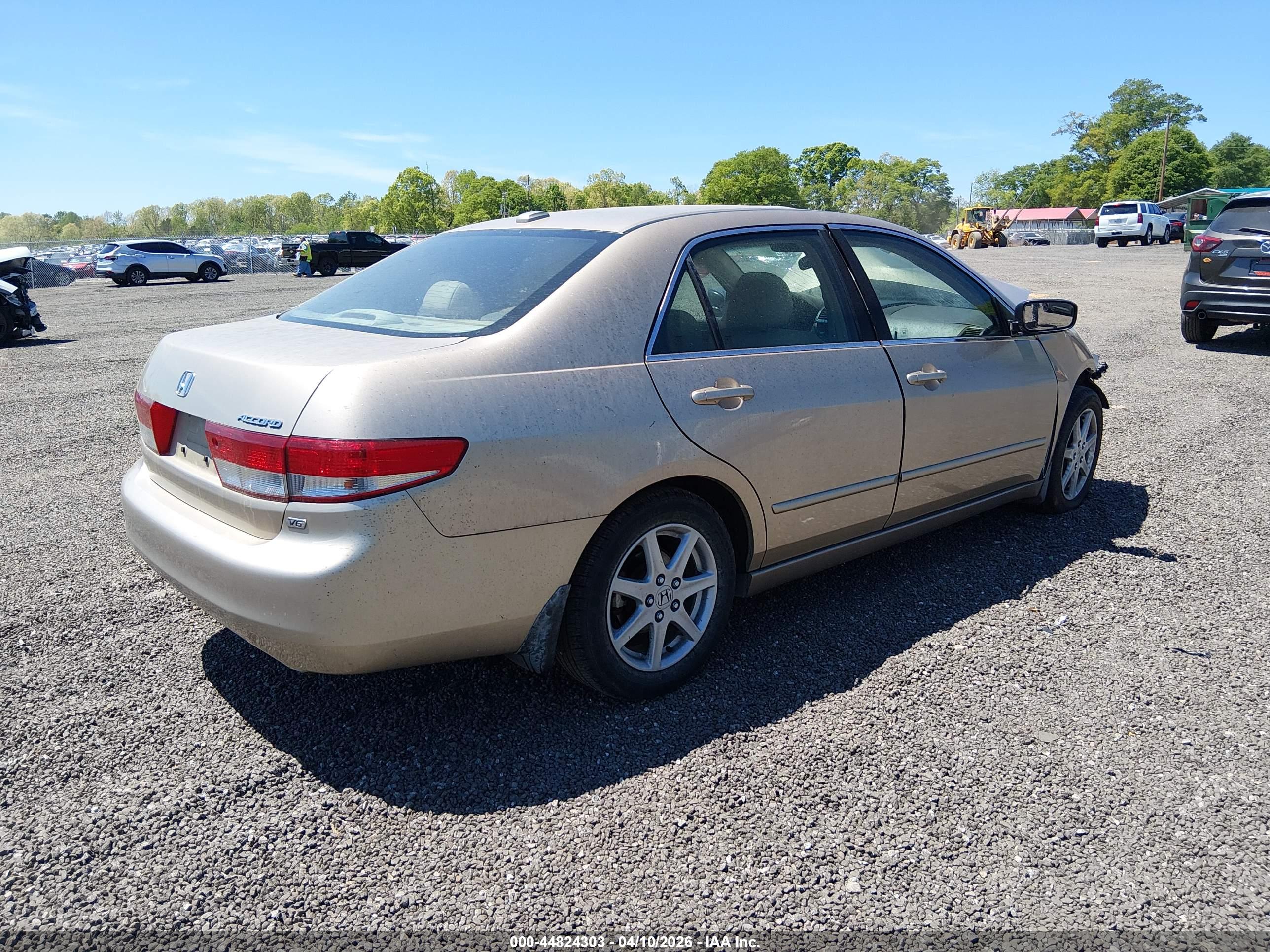 HONDA ACCORD image 4