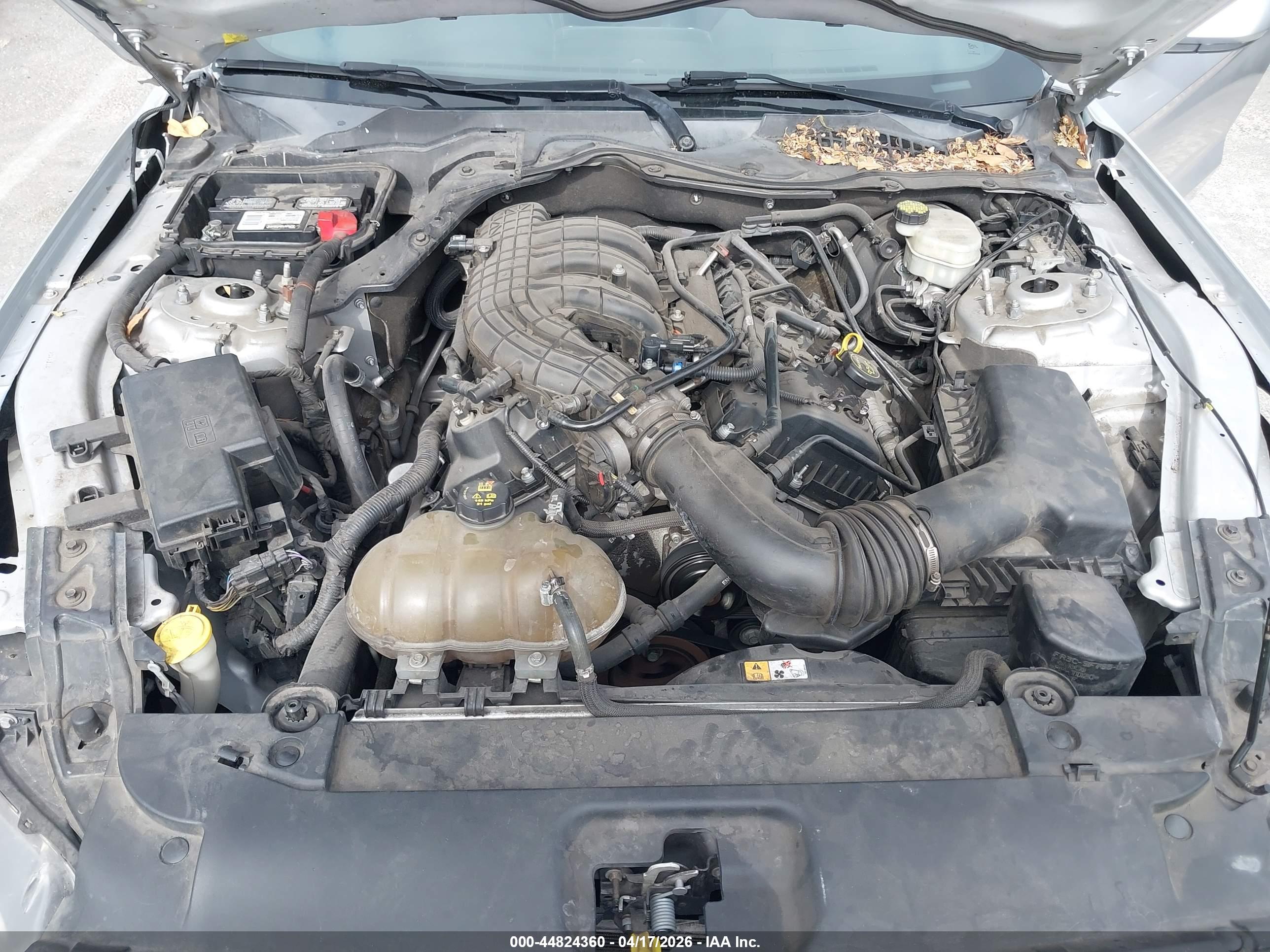 FORD MUSTANG image 10