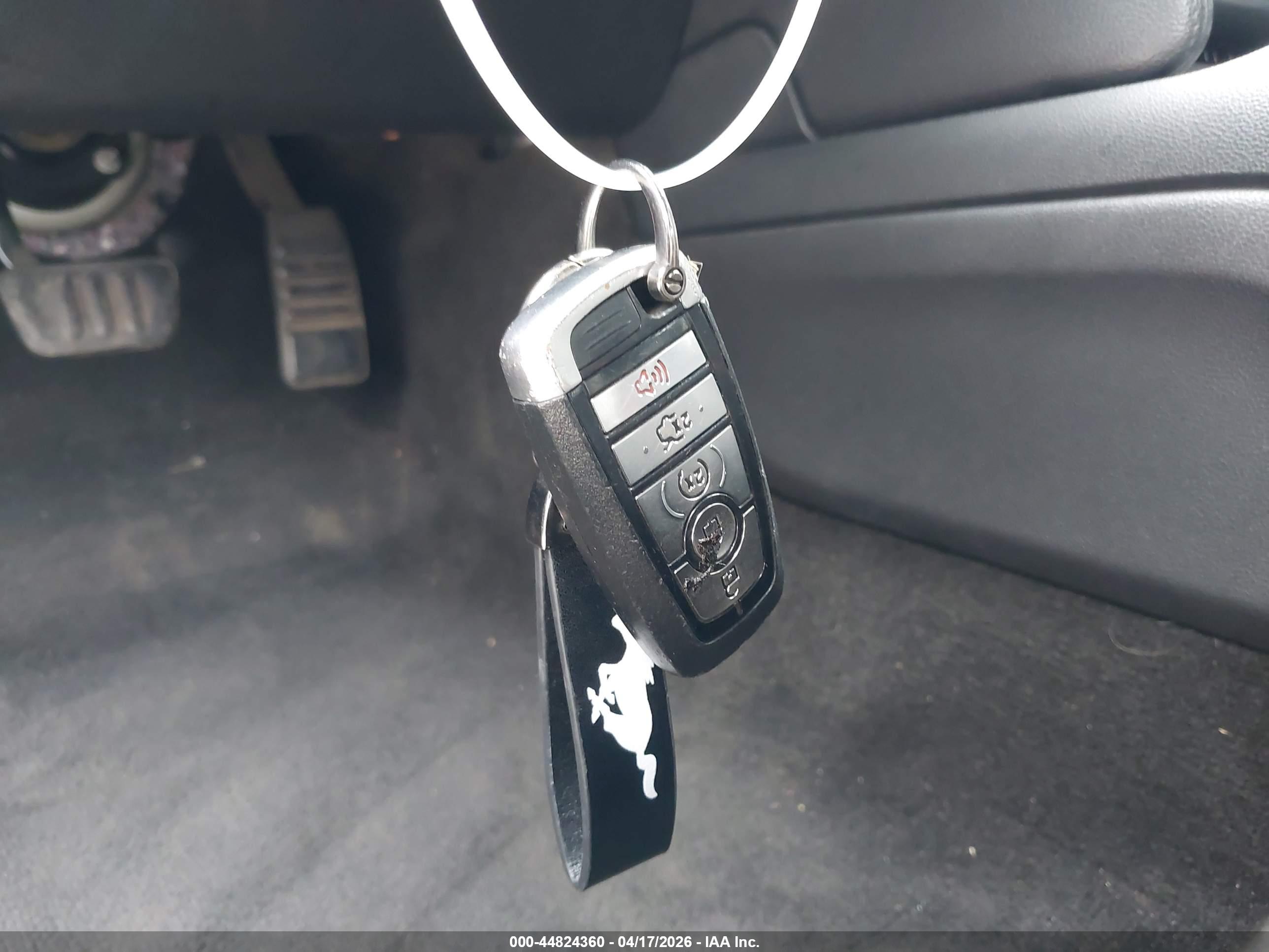 FORD MUSTANG image 11