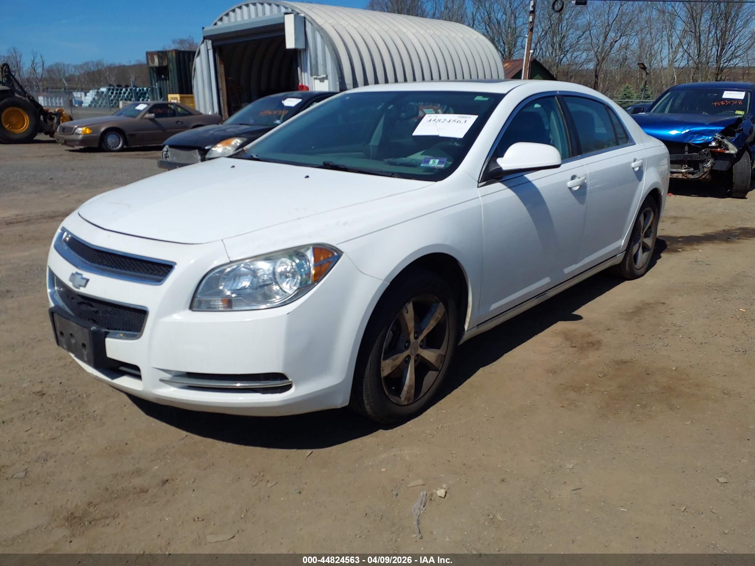 CHEVROLET MALIBU image 2