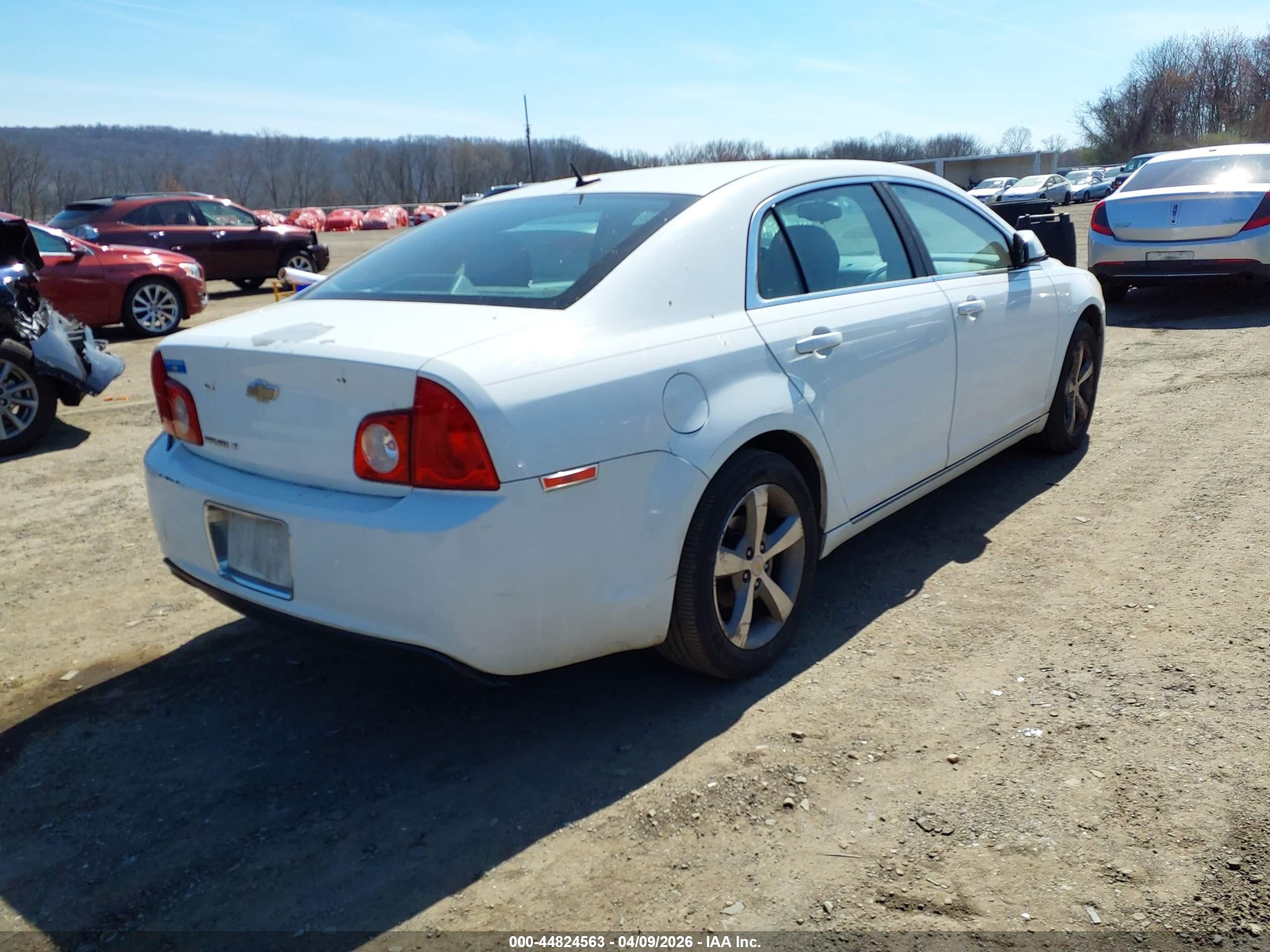 CHEVROLET MALIBU image 4
