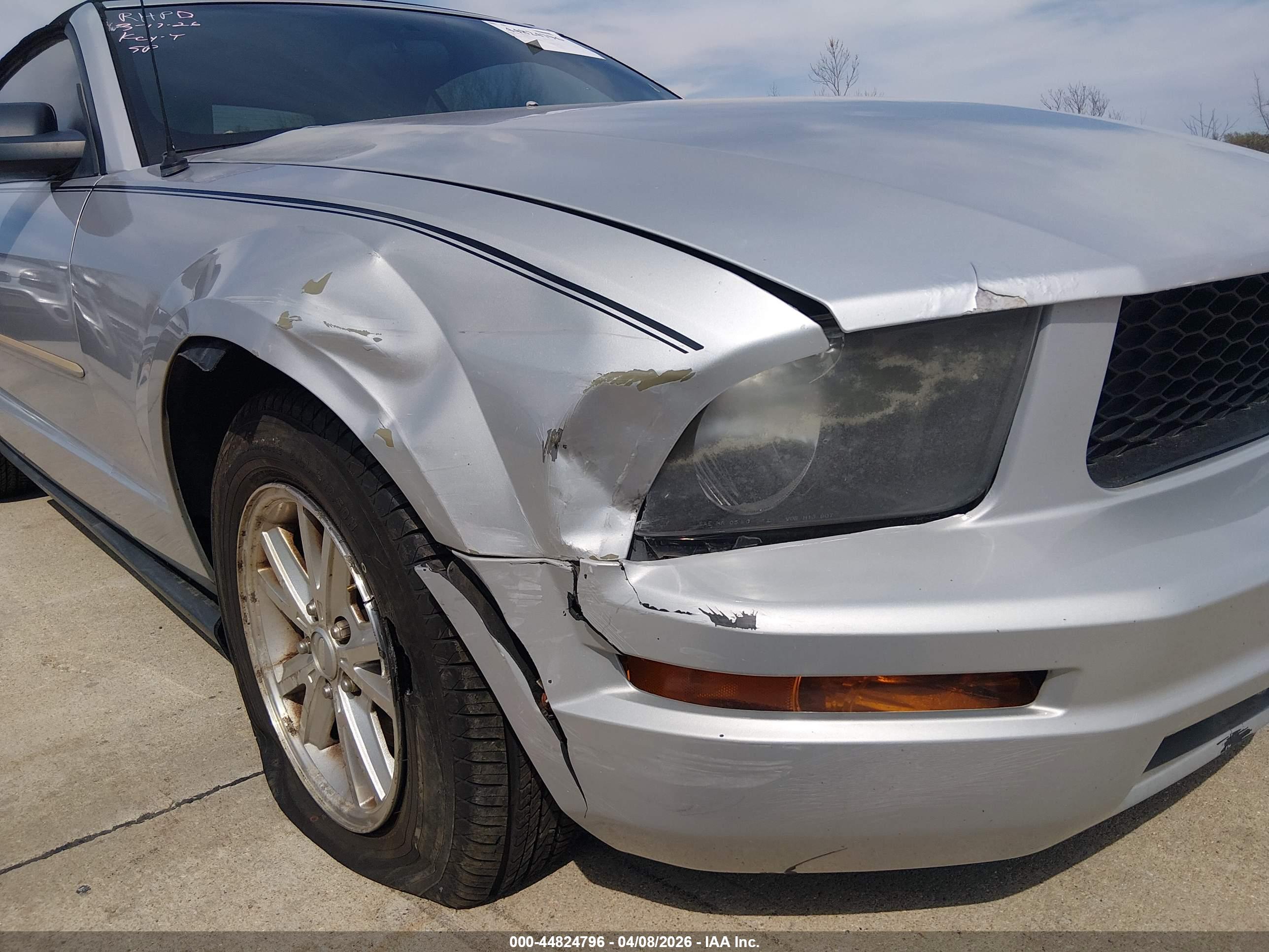 FORD MUSTANG image 6