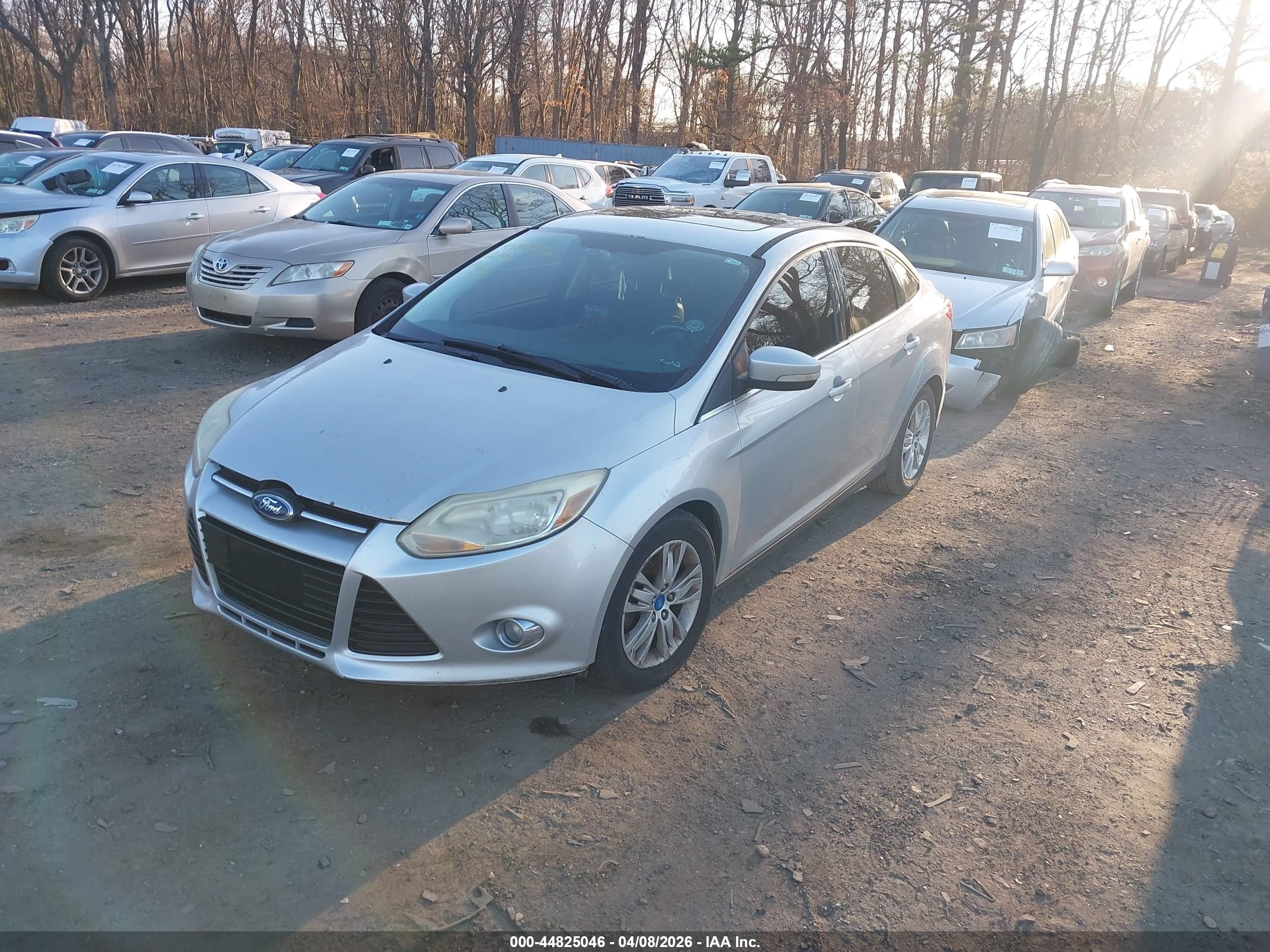 FORD FOCUS image 2